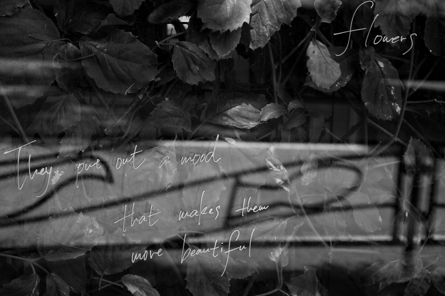 Schwarzweißfoto mit Blumen und poetischem Text