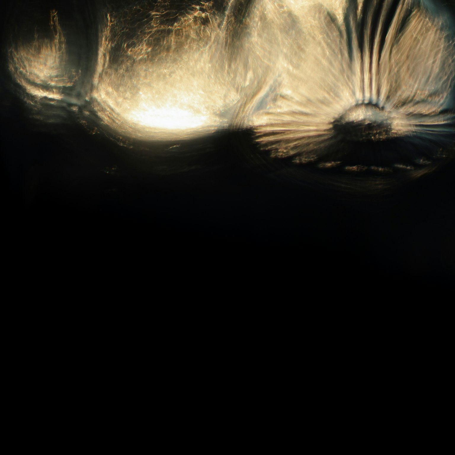 Image featuring glossy shell-like shapes against a dark background