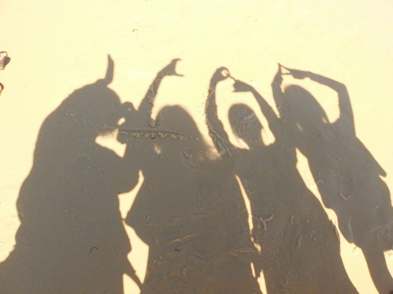 Siluetas de cuatro personas posando en sombras