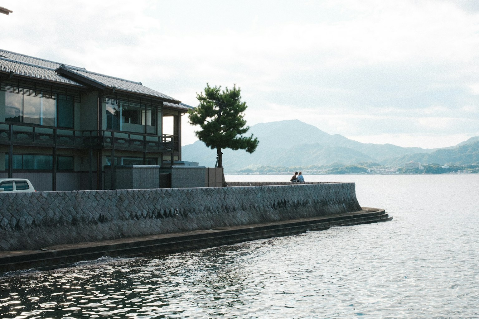 Una vista serena sul lago con una casa e un pino, montagne sullo sfondo