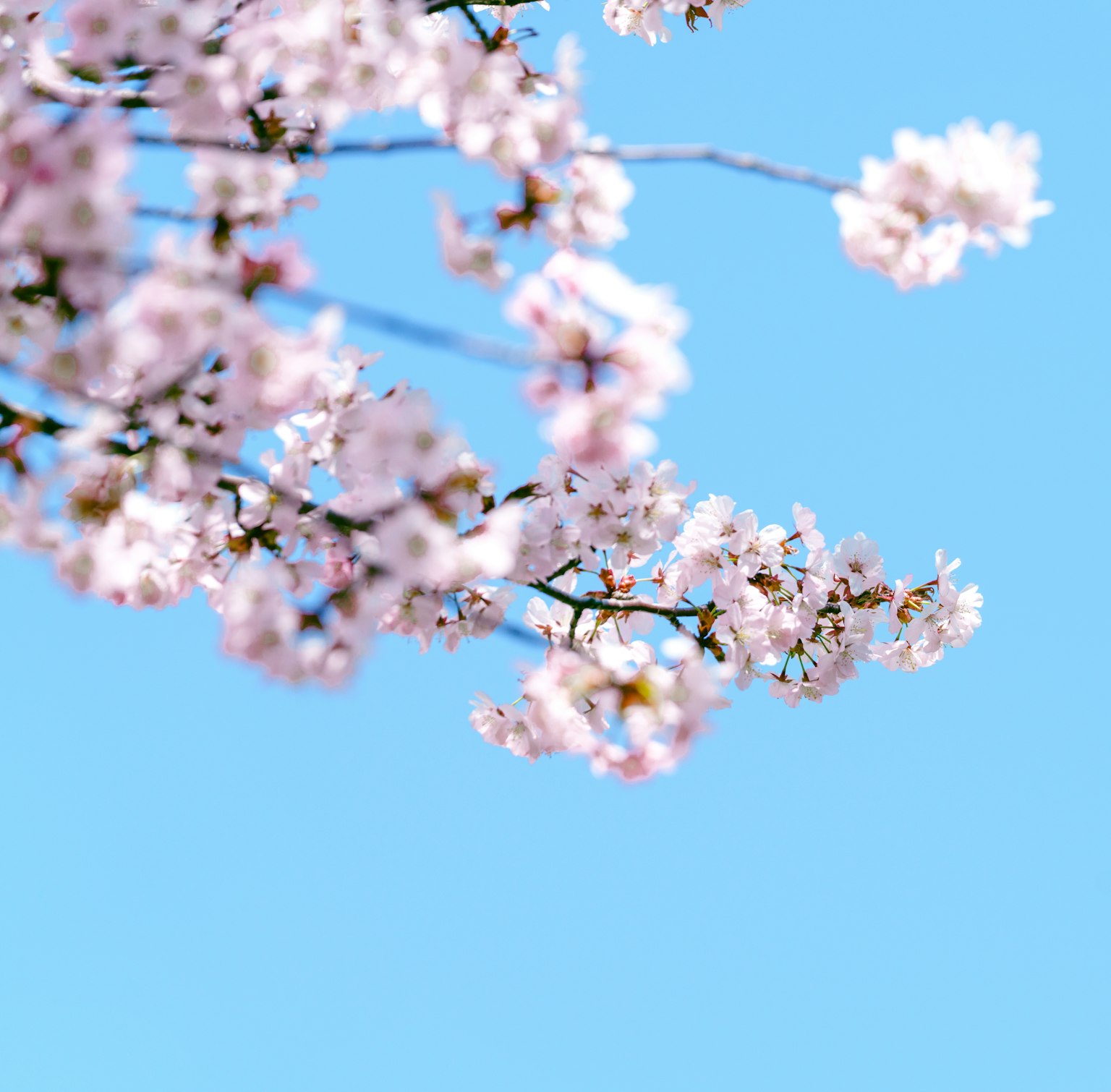 photo-TWBKL1bmmuzzvvRzI9qz-image