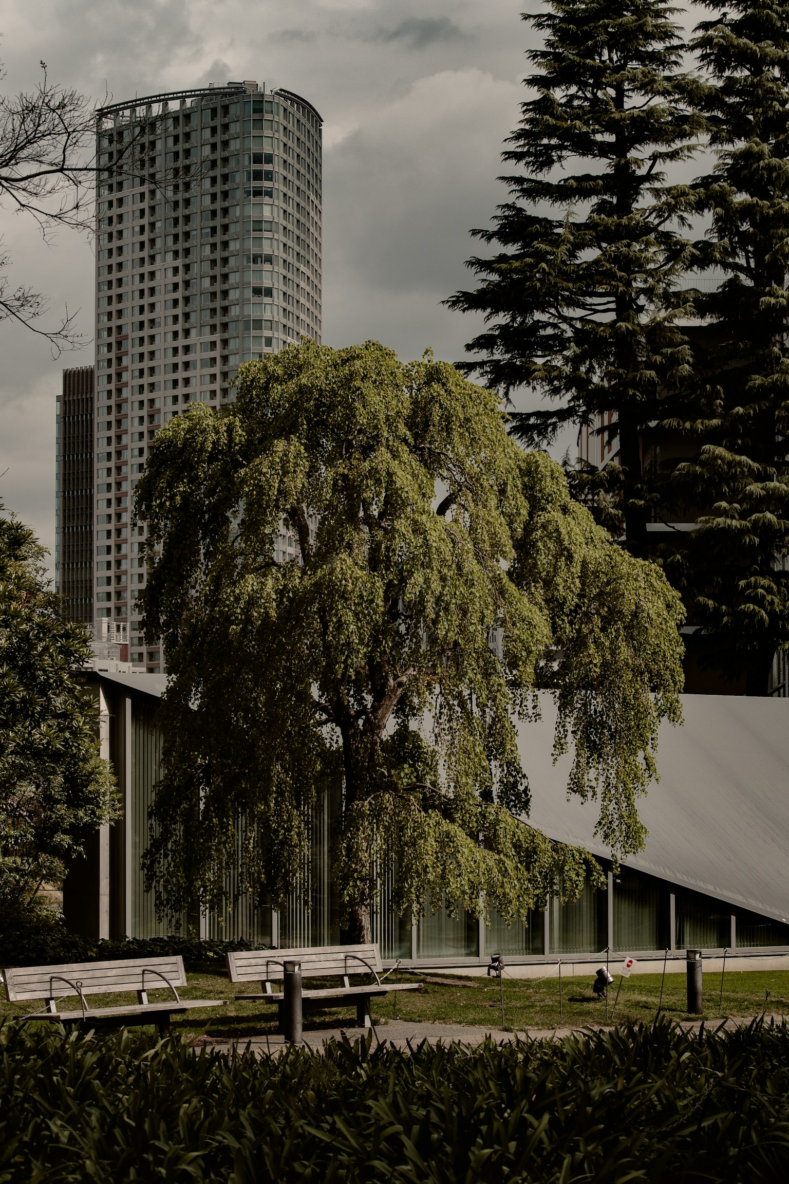 สวนสาธารณะในเมืองที่มีตึกสูงและโครงสร้างสถาปัตยกรรมที่ไม่เหมือนใคร