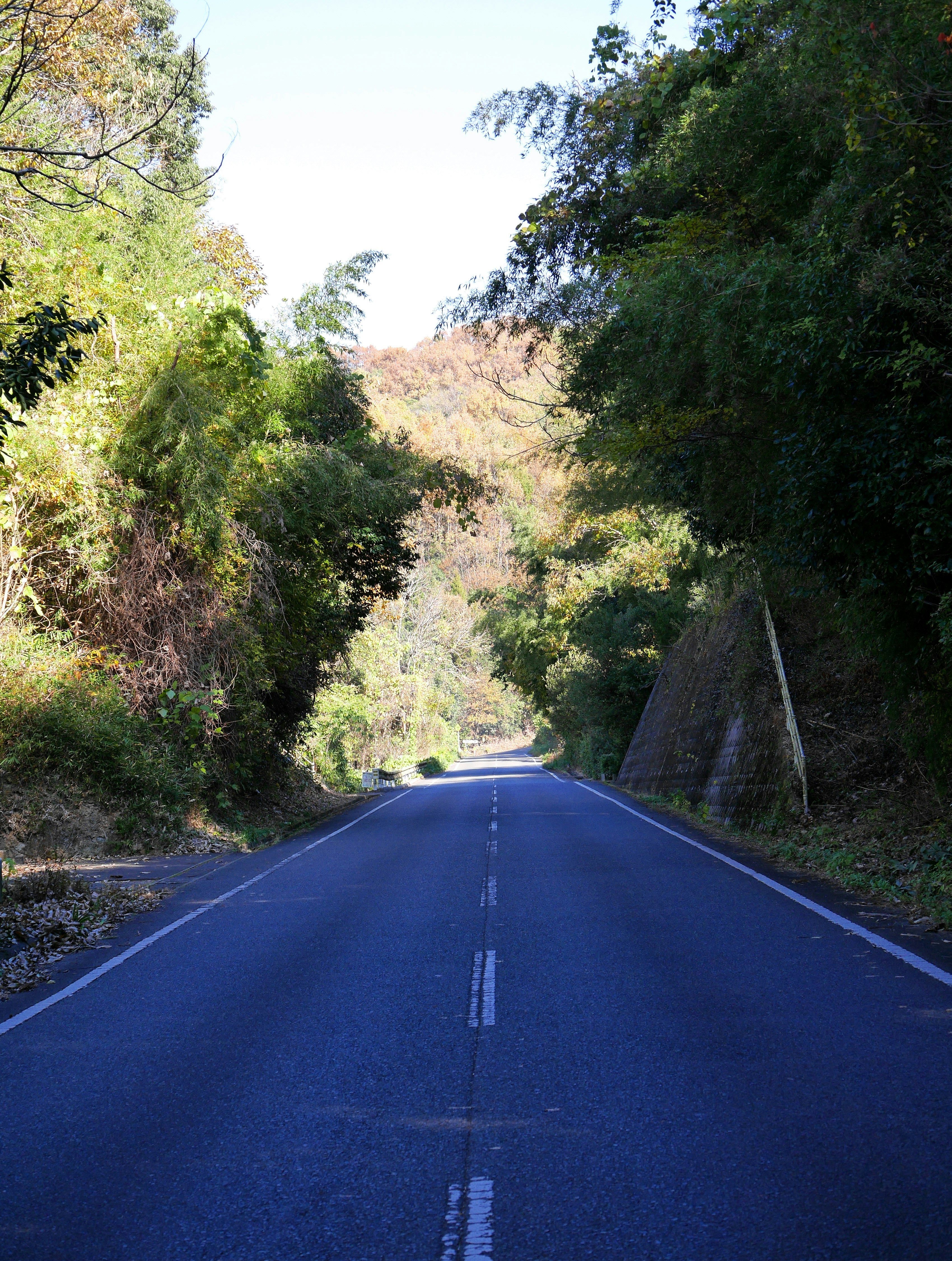 山道を走る車道の先に続く曲がり道の風景