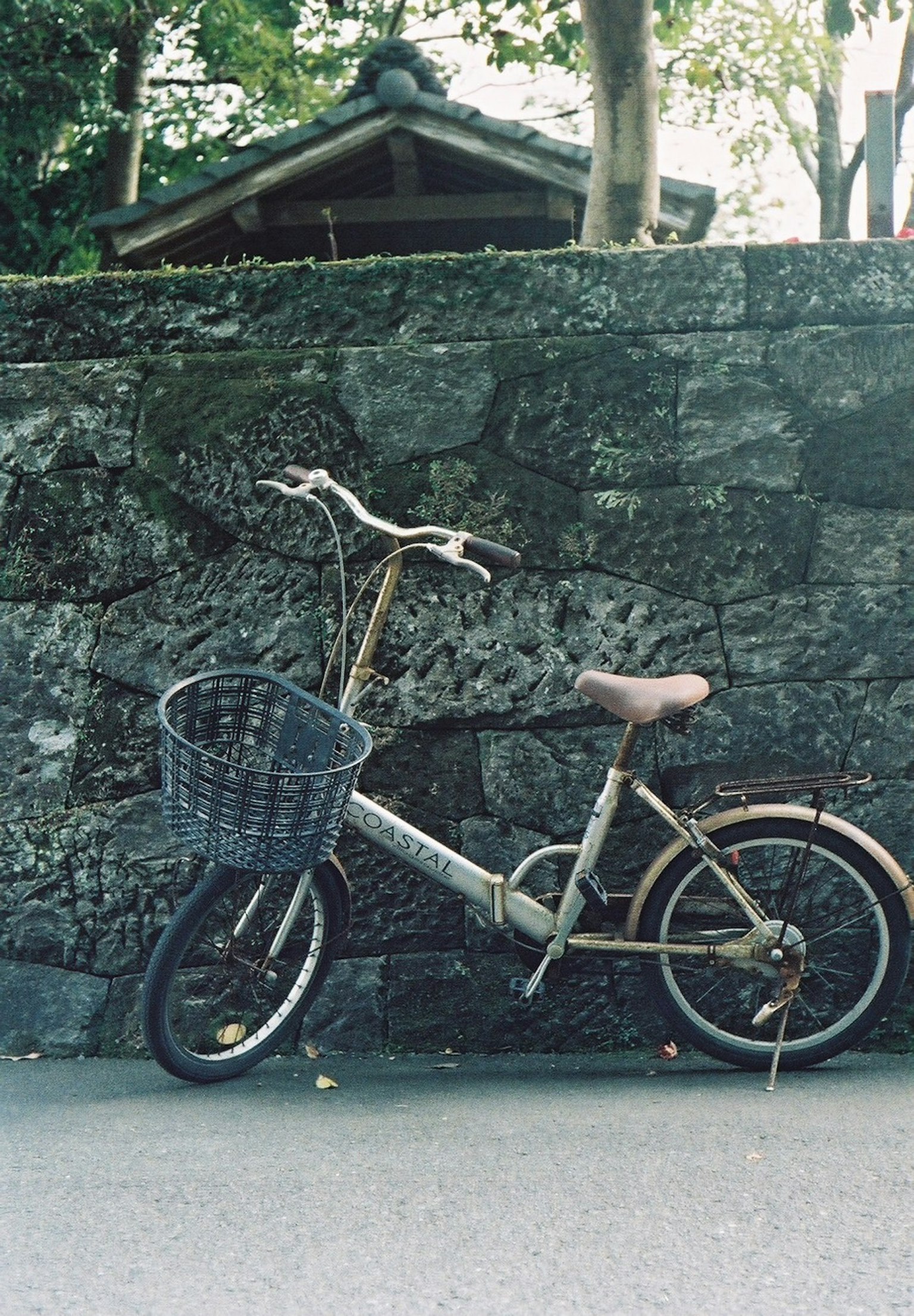 Una vecchia bicicletta appoggiata a un muro di pietra