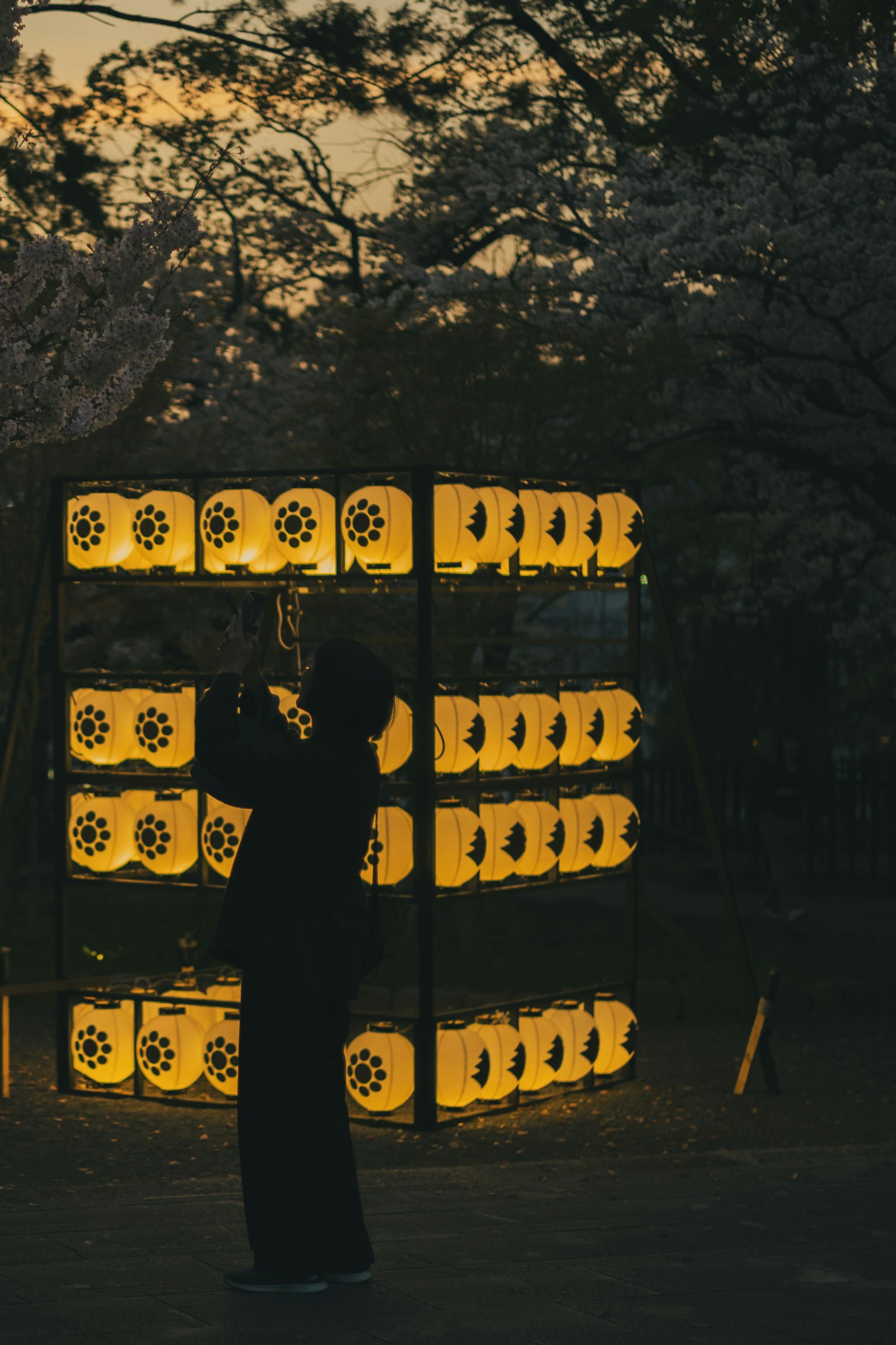 Person standing in front of illuminated lanterns at dusk