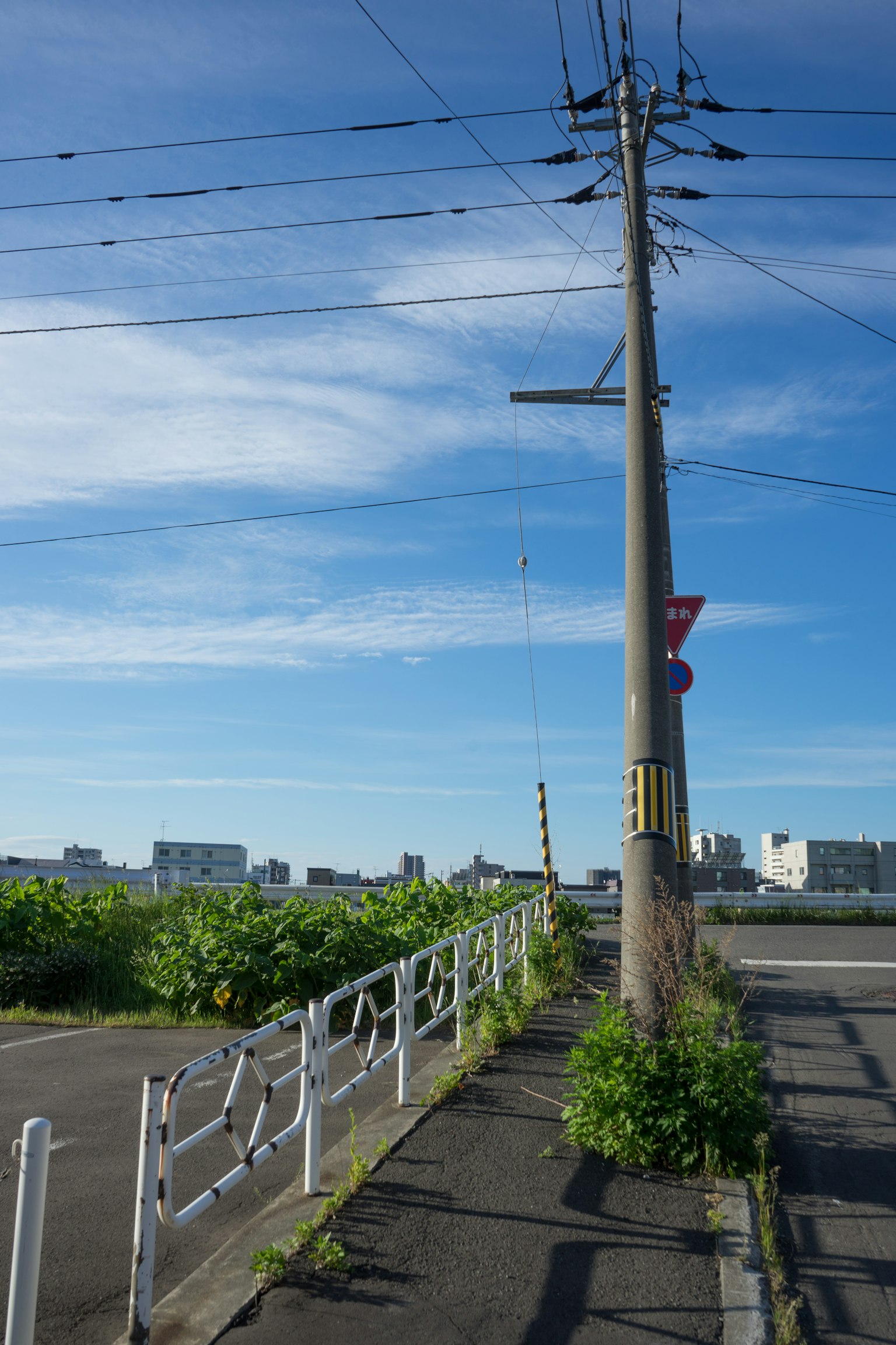 藍天下的道路景觀，有電線杆和綠色植物