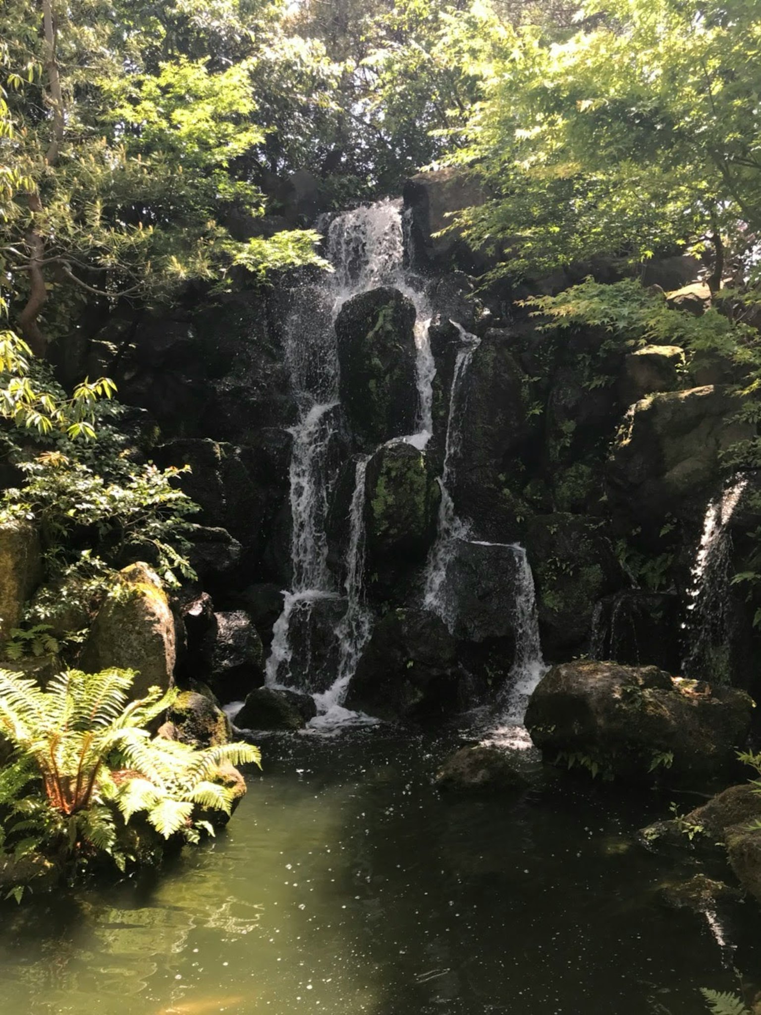 一條寧靜的瀑布流入一個寧靜的池塘，周圍環繞著郁郁蔥蔥的綠樹