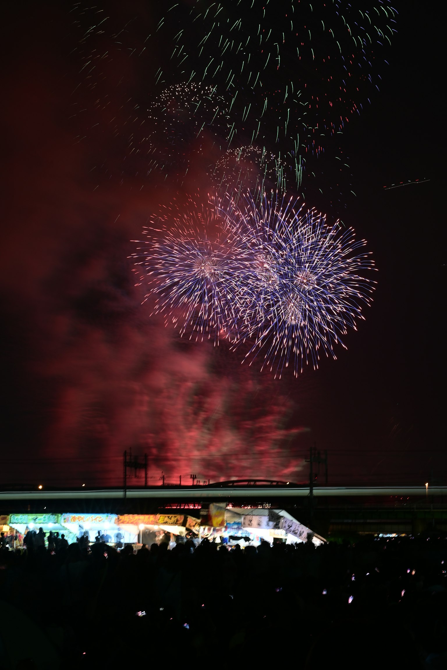 Colorful fireworks display in the night sky with a crowd enjoying the view
