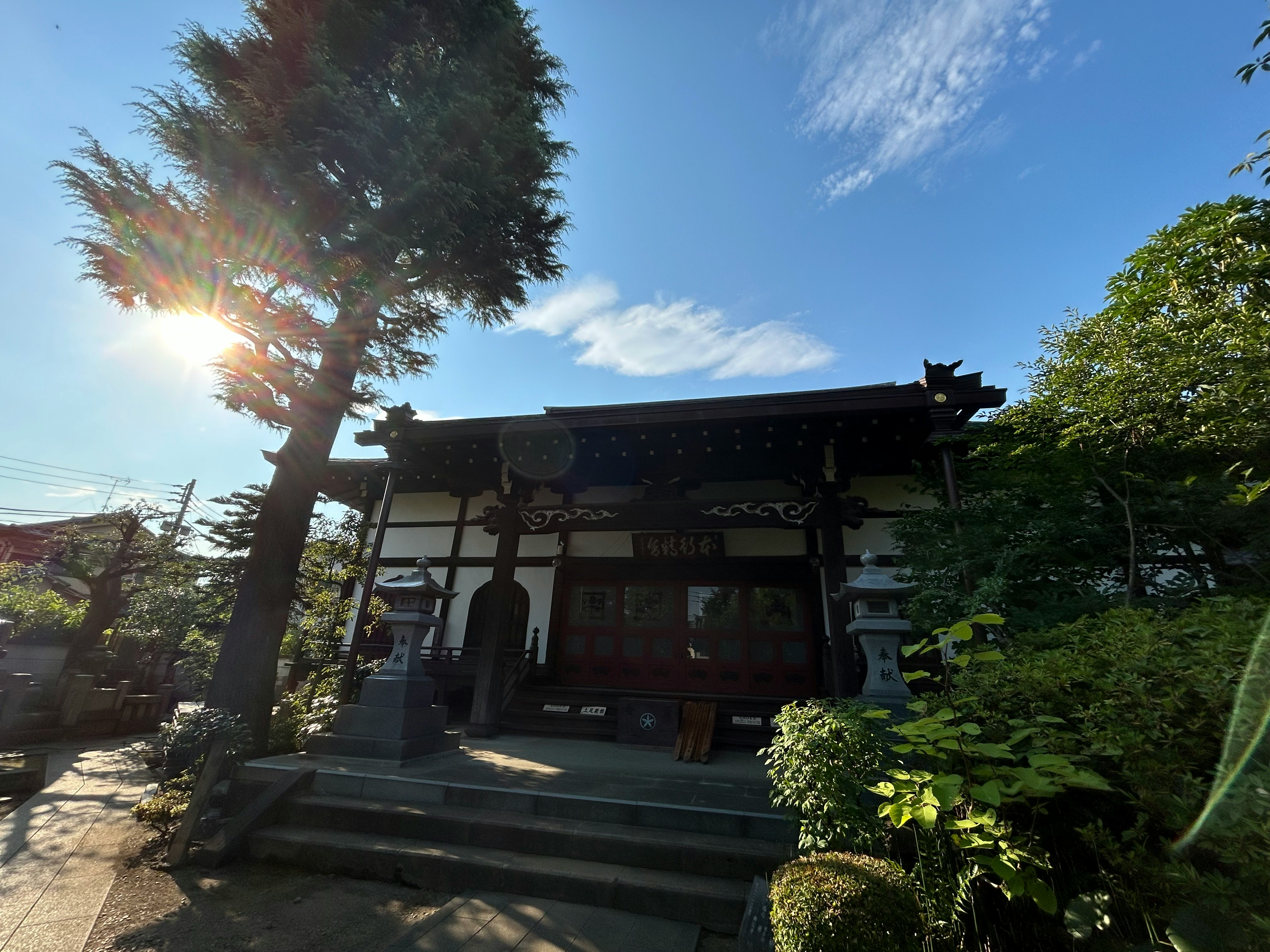 Honko-ji temple gate and approach path in sunset light
