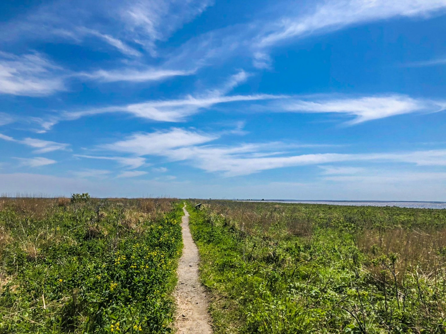 Un camino estrecho a través de un paisaje cubierto de hierba bajo un cielo azul