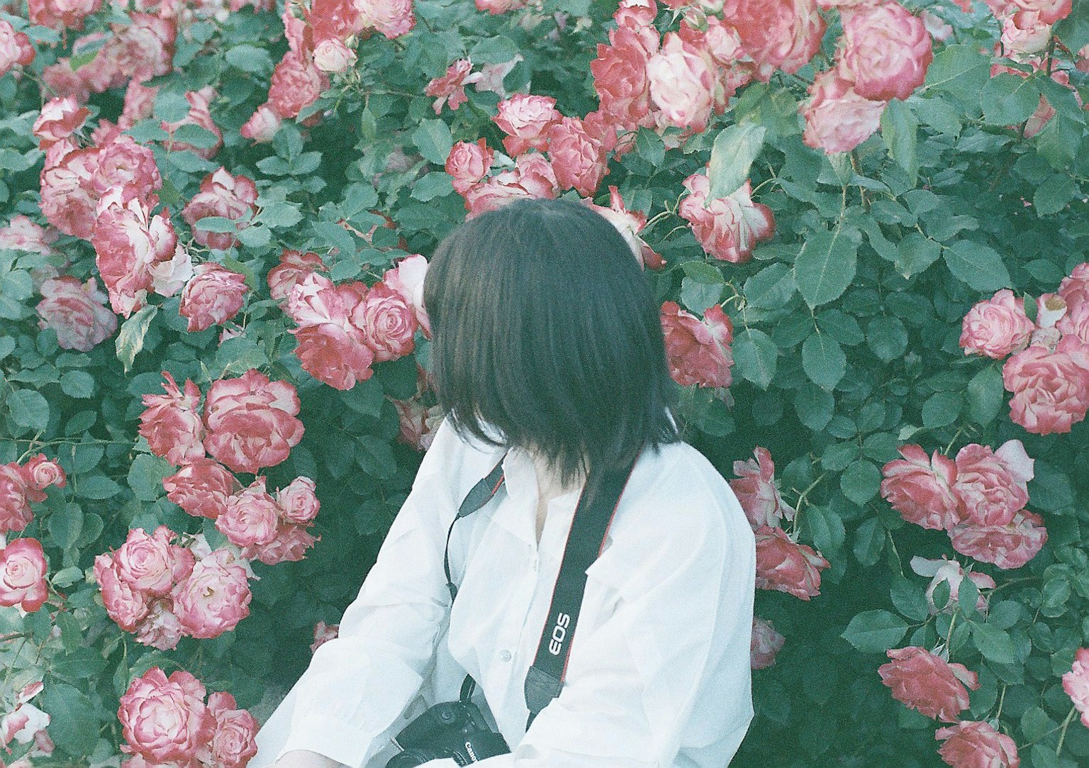 Profilo di una donna circondata da rose colorate