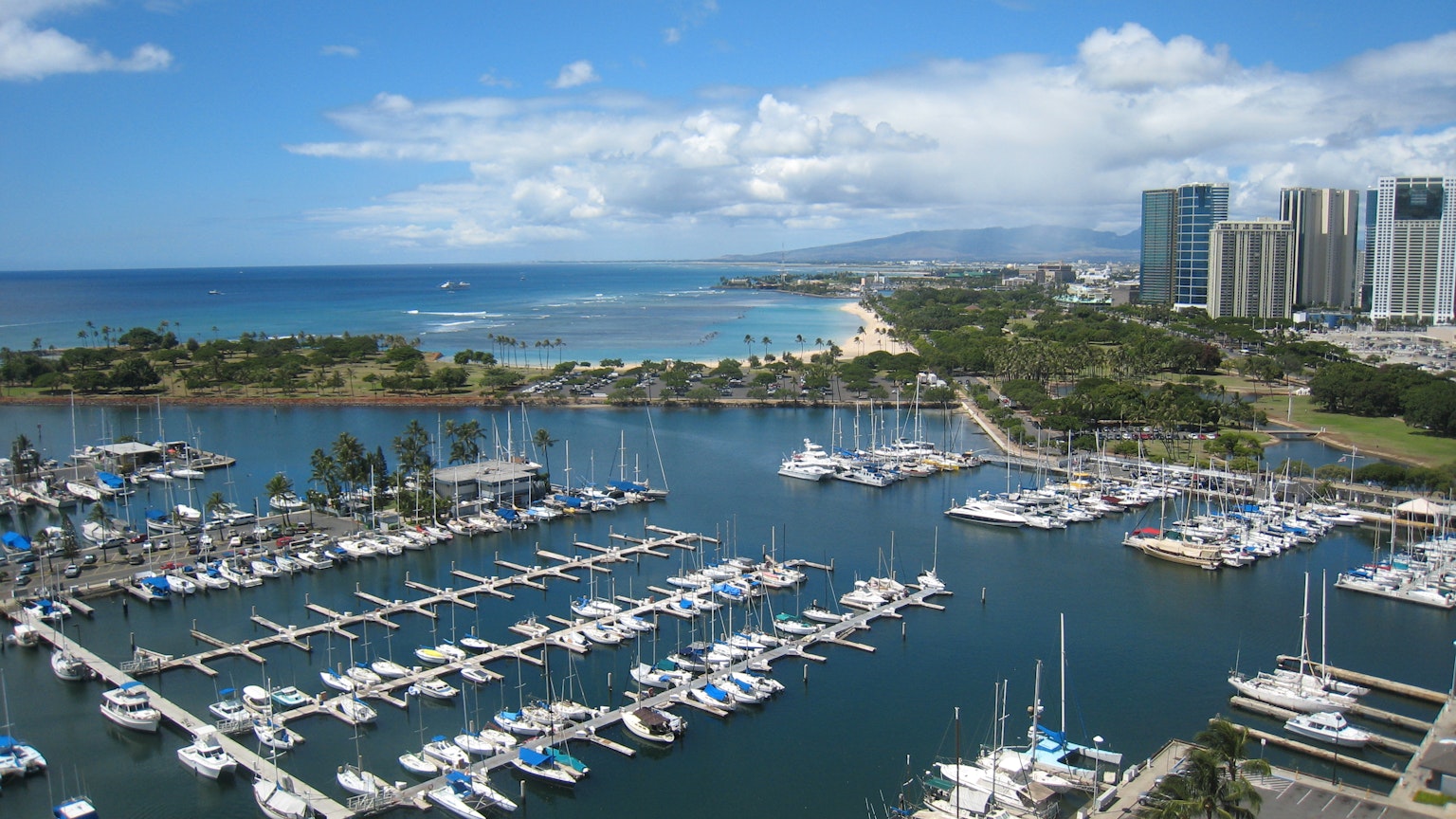 Vista de una marina con agua azul y yates blancos rodeados de paisajes verdes y edificios altos