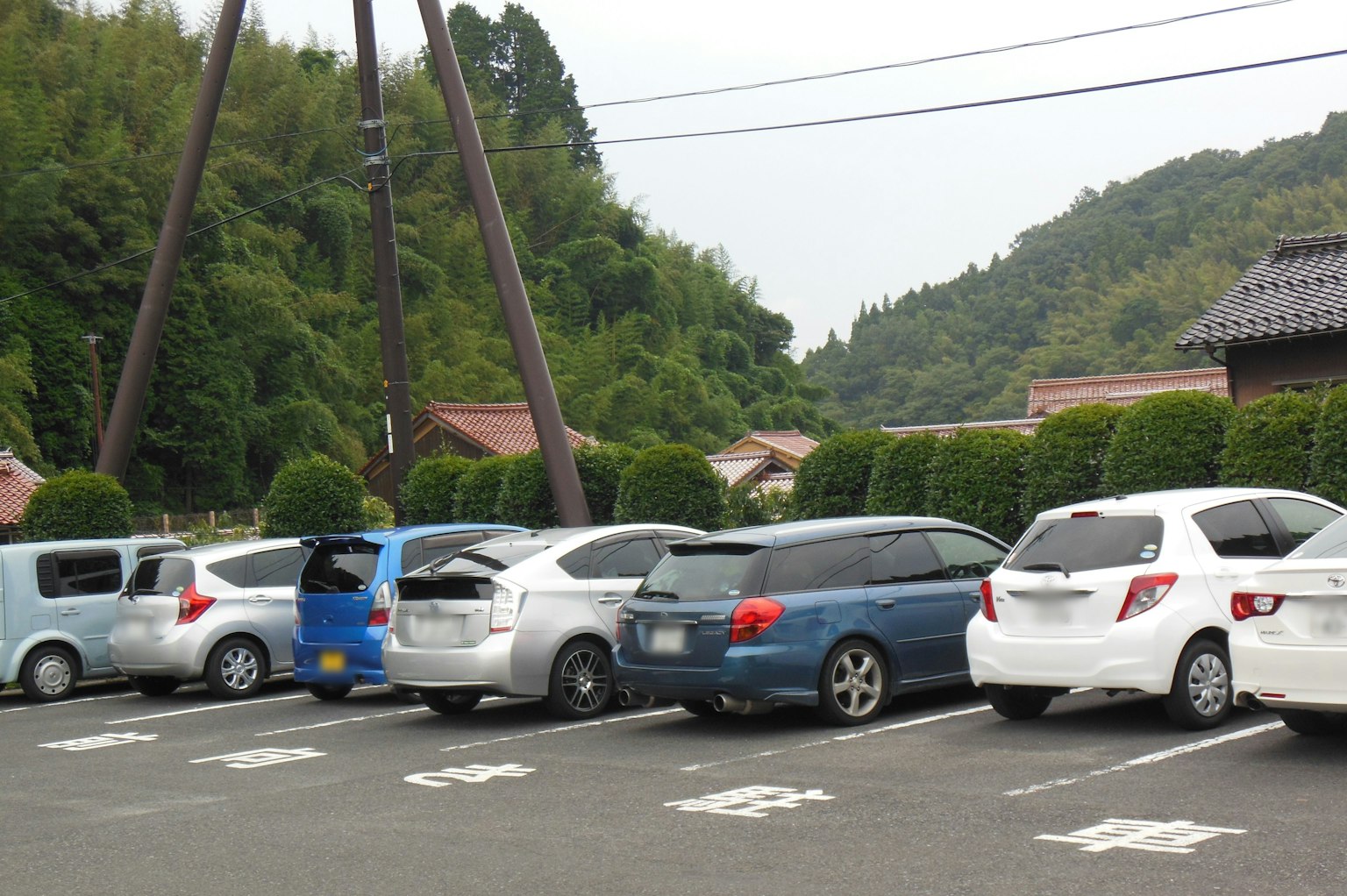 Différentes voitures colorées garées dans un parking avec des arbres verts en arrière-plan