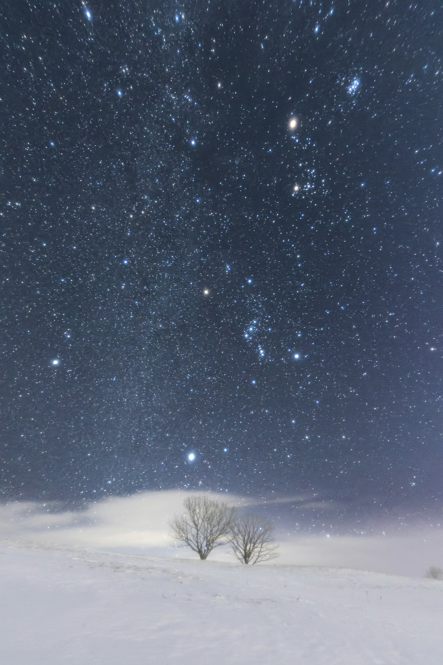 Cielo estrellado sobre un paisaje nevado con árboles