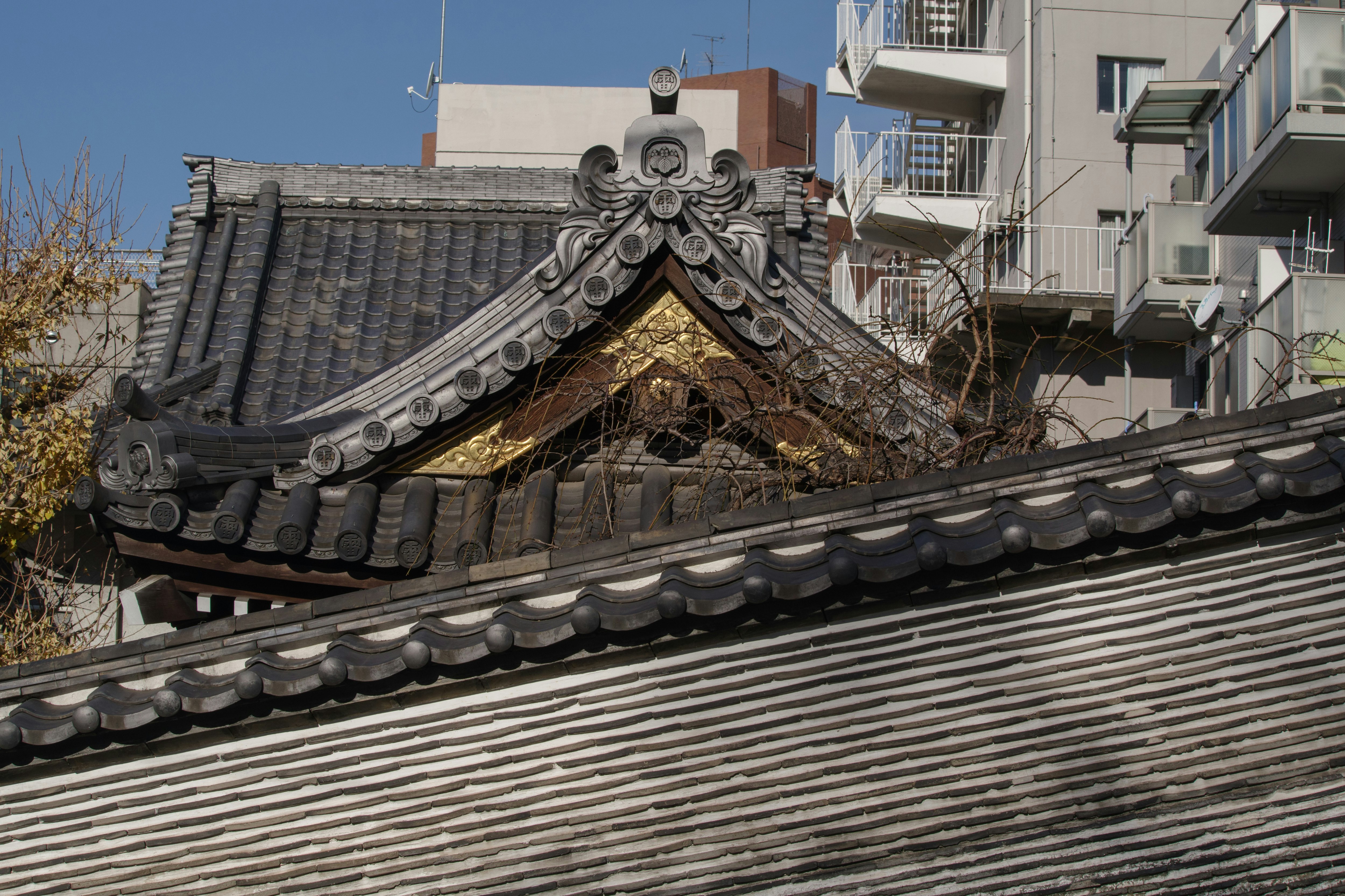 瓦屋根の鬼瓦と屋根の曲線が見える街並み