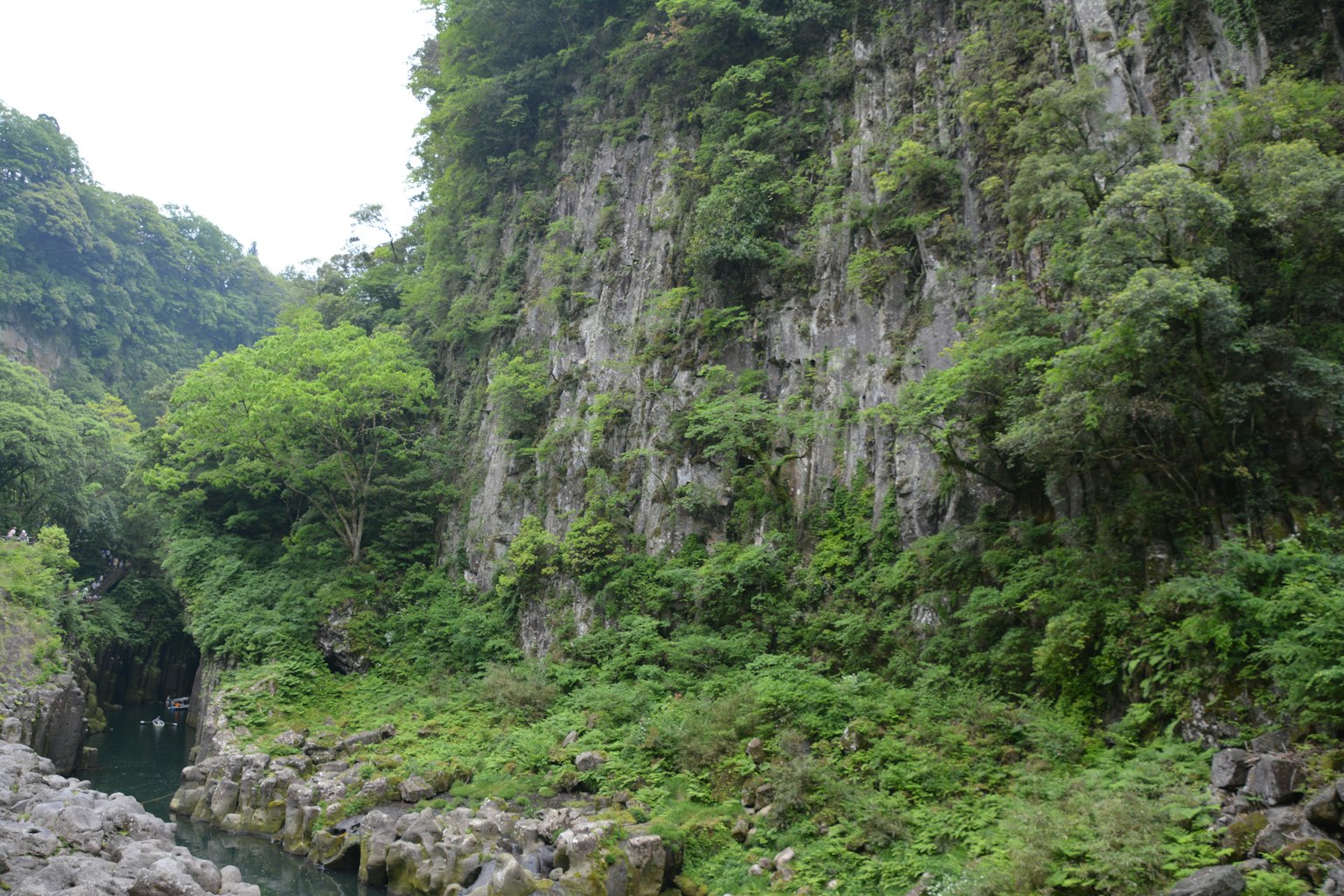 郁郁葱葱的绿色悬崖和河流景观