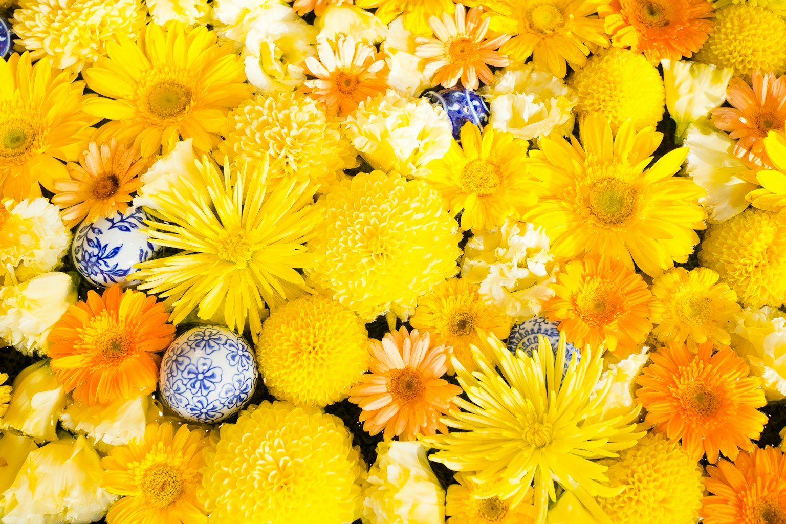 Vibrante composizione di fiori gialli con alcuni fiori bianchi e arancioni