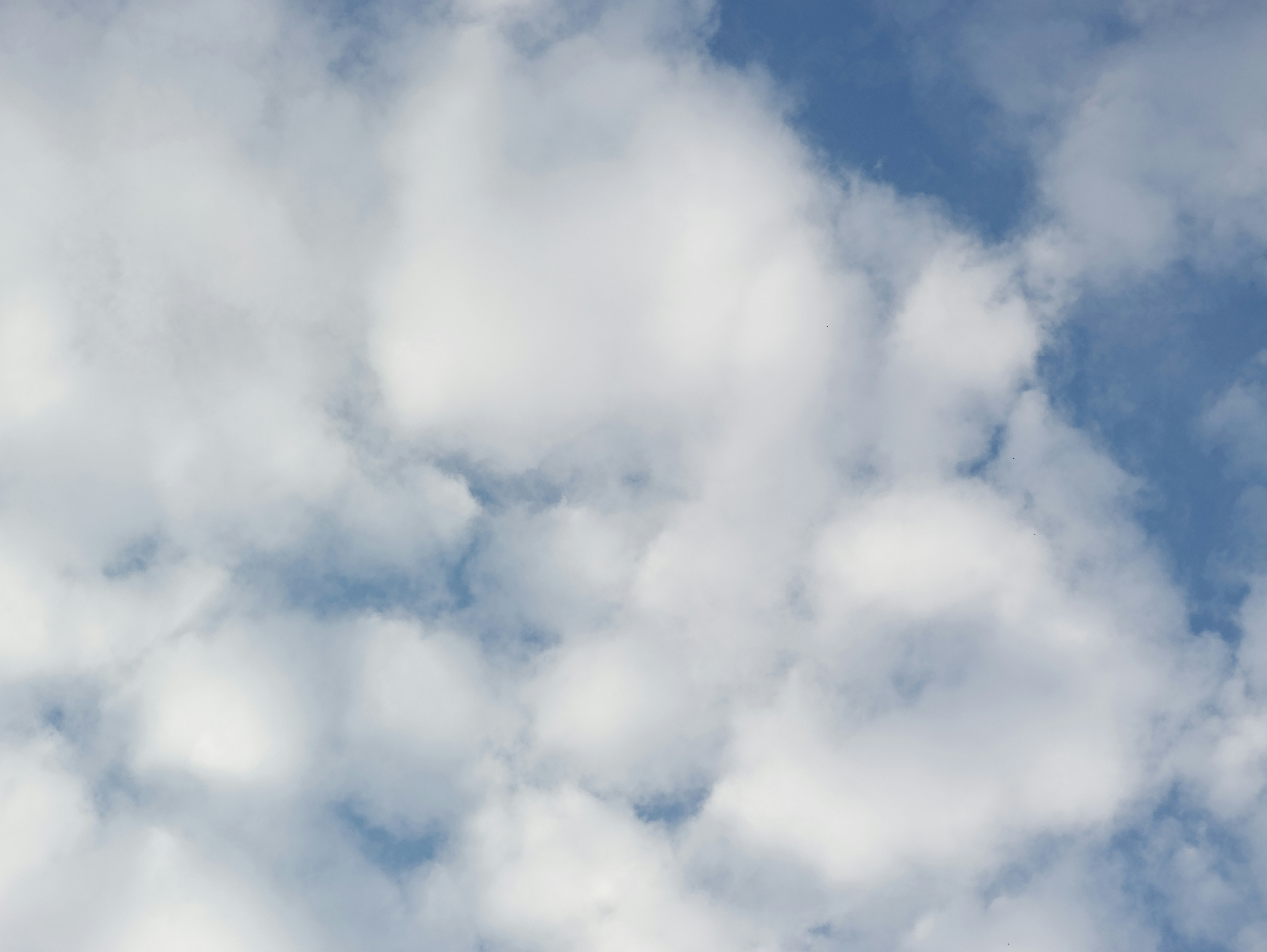 nuvole che attraversano un cielo blu