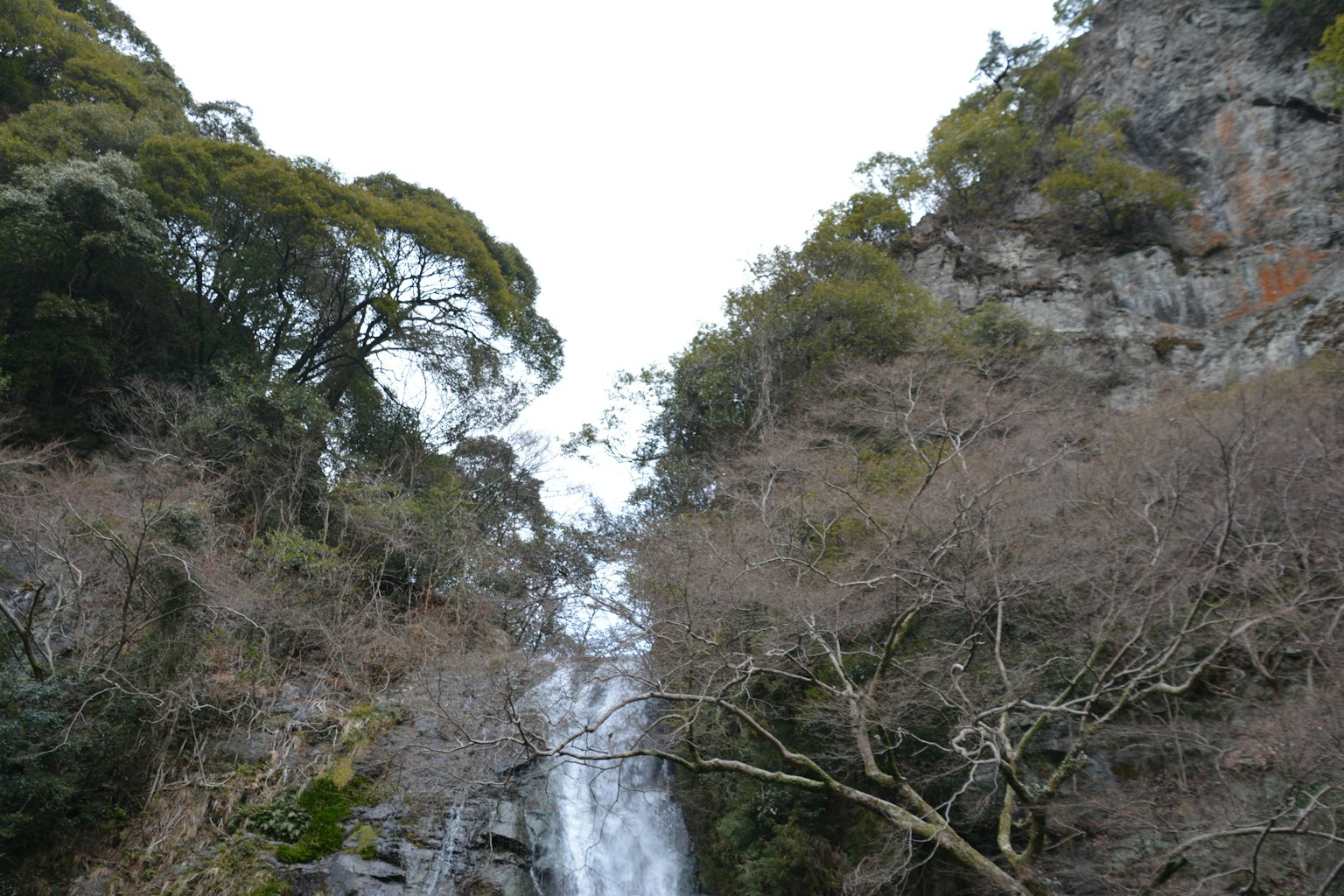 瀑布在岩石悬崖和树木之间流淌的景色