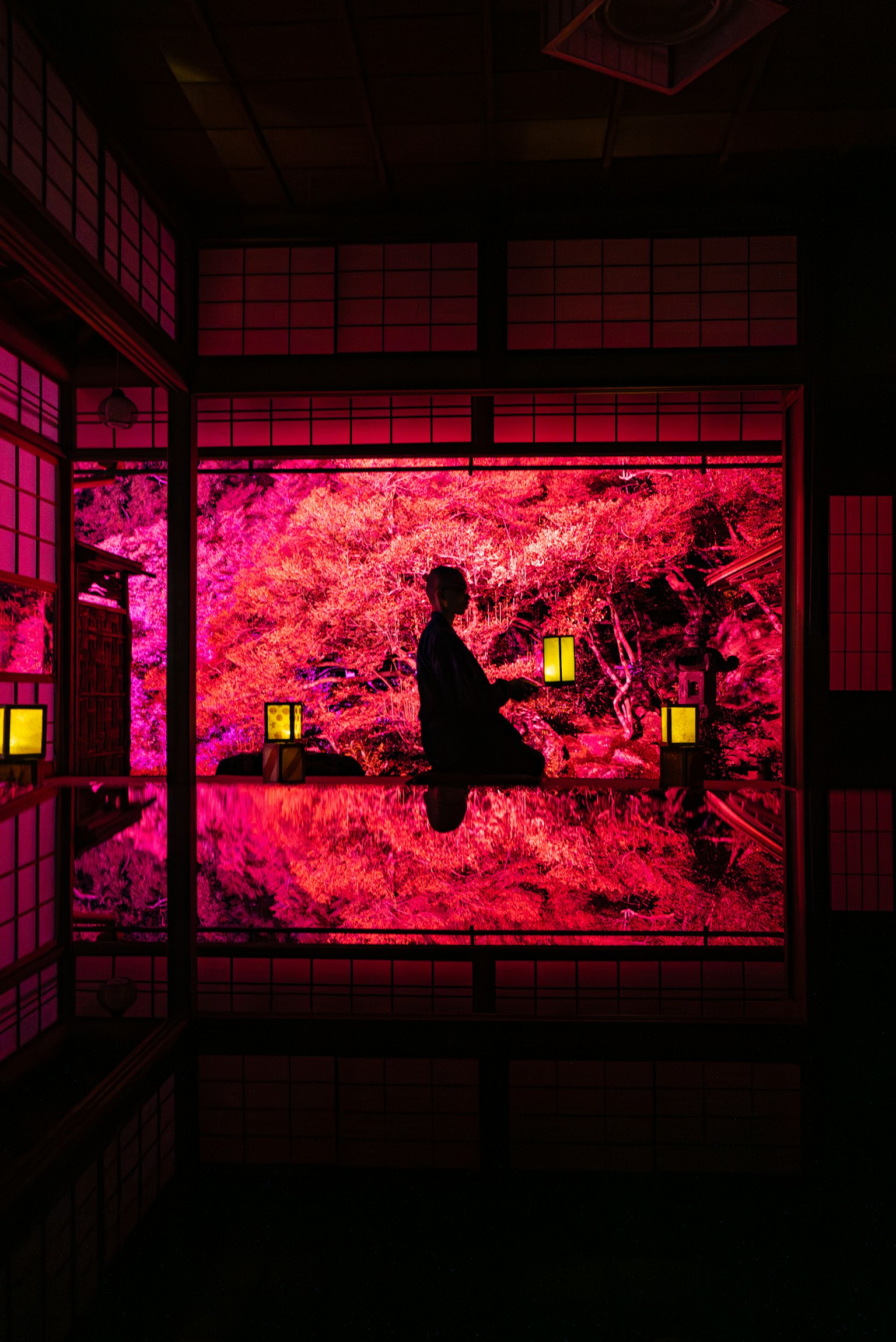 Silhouette d'une personne assise dans une pièce sombre avec un fond rouge vif