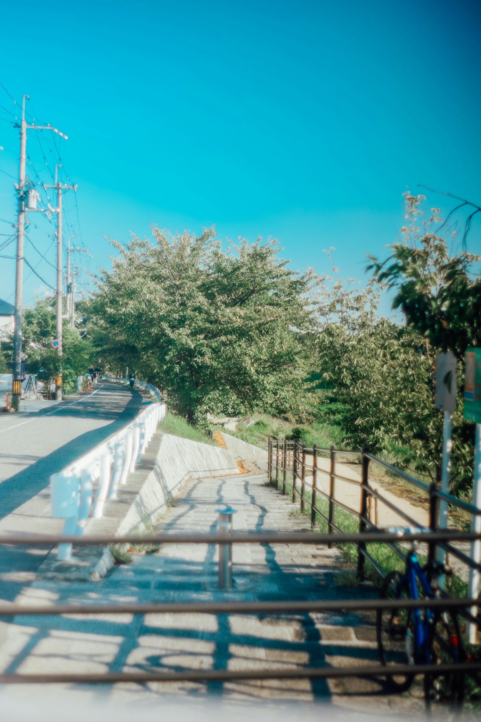 Jalan pemandangan indah dengan pohon di bawah langit biru
