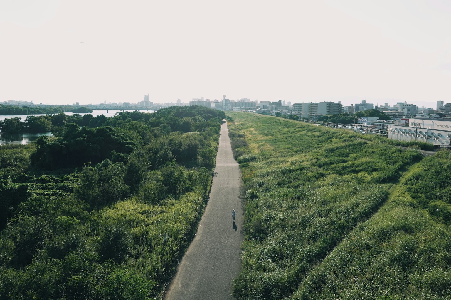 被綠樹環繞的鋪裝道路和遠處的城市天際線