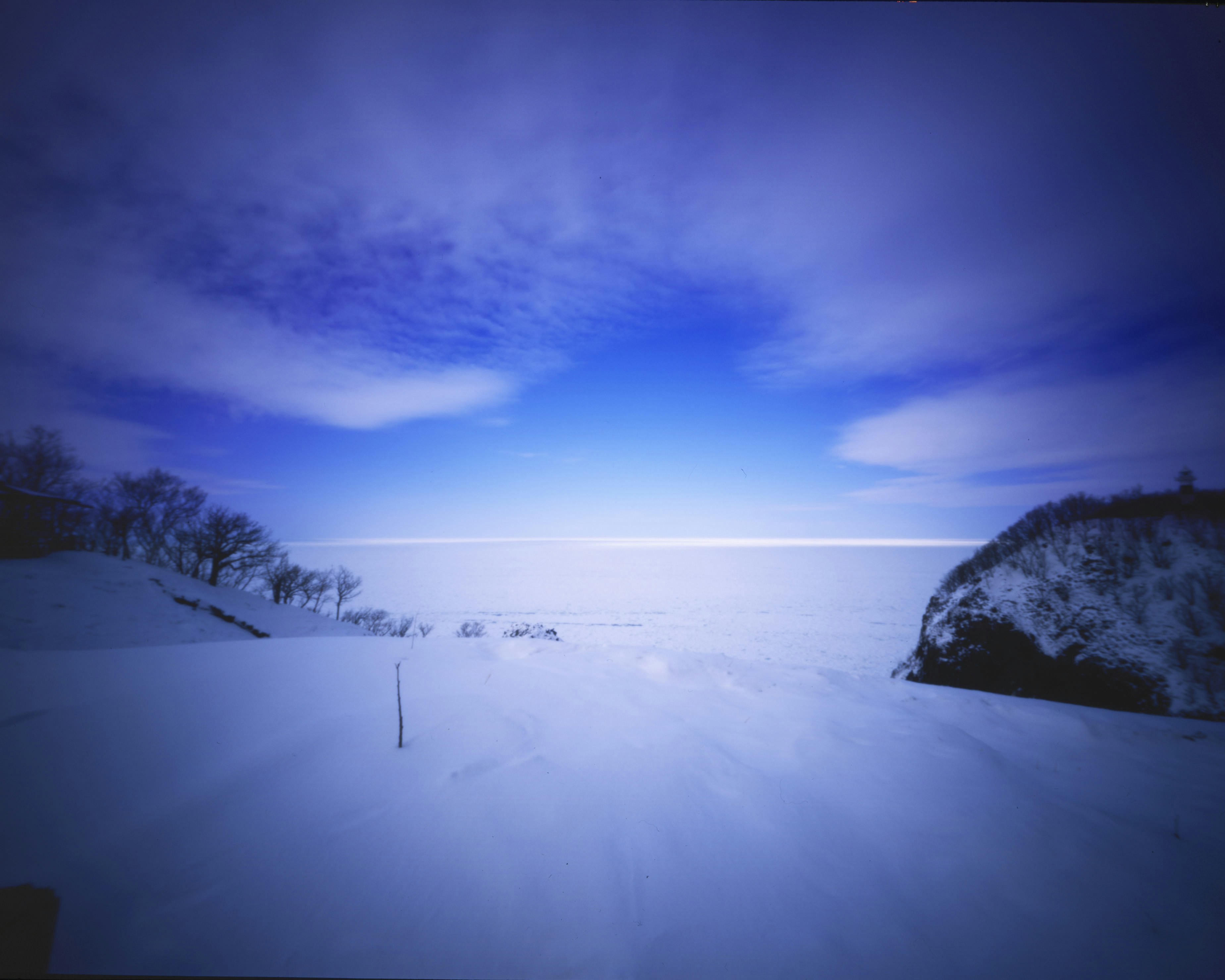 雪原の道と木々のシルエットが広がる夜明け前の風景