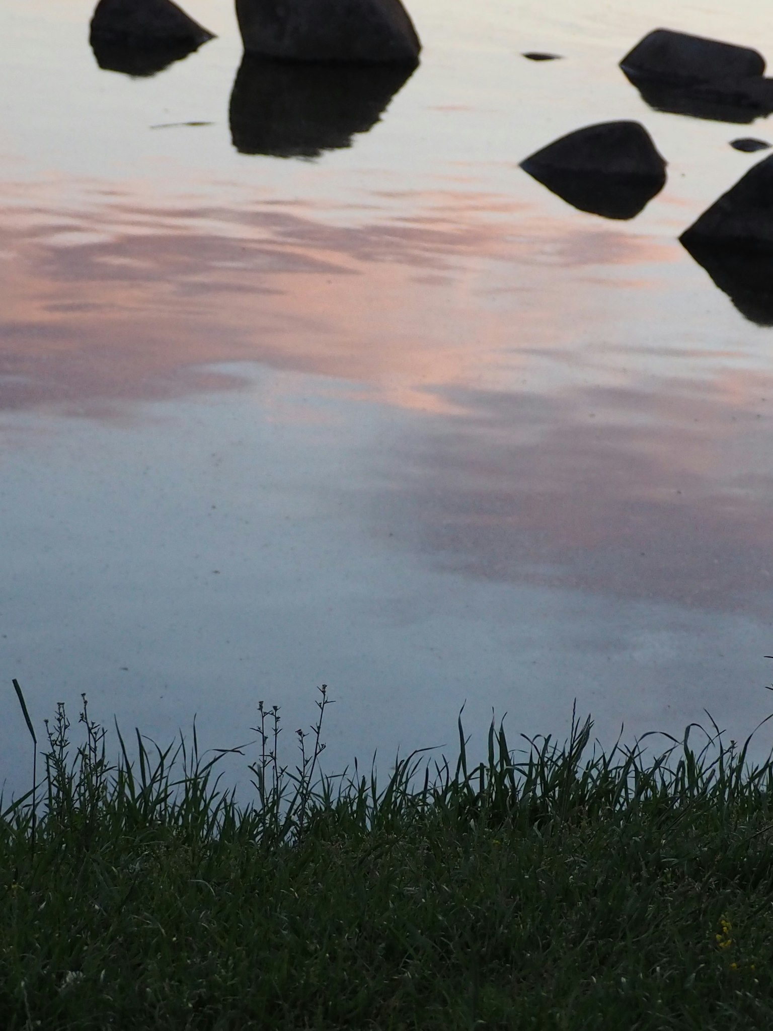 Serene water surface reflecting rocks and grass