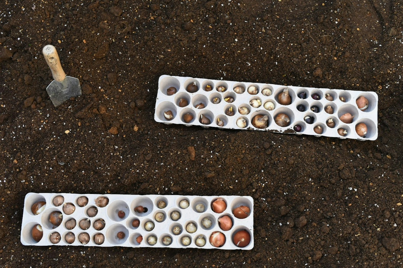 Différentes tailles de billes métalliques disposées sur le sol avec une petite pelle