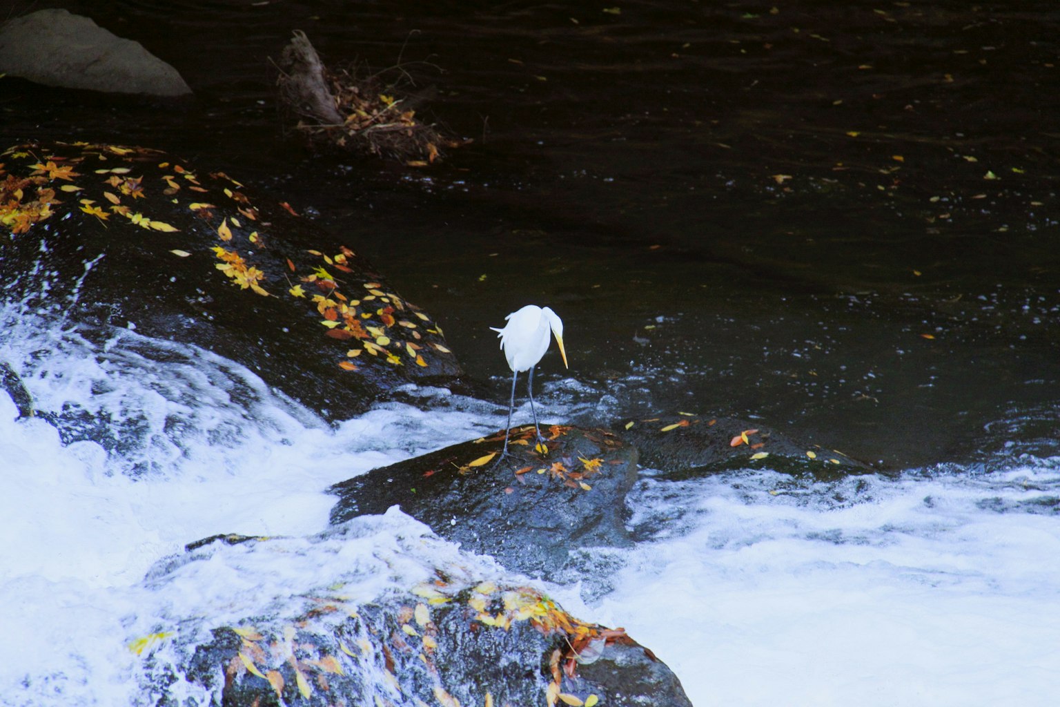photo-TdkWpnxIQ0MtdJTCAKcc-image
