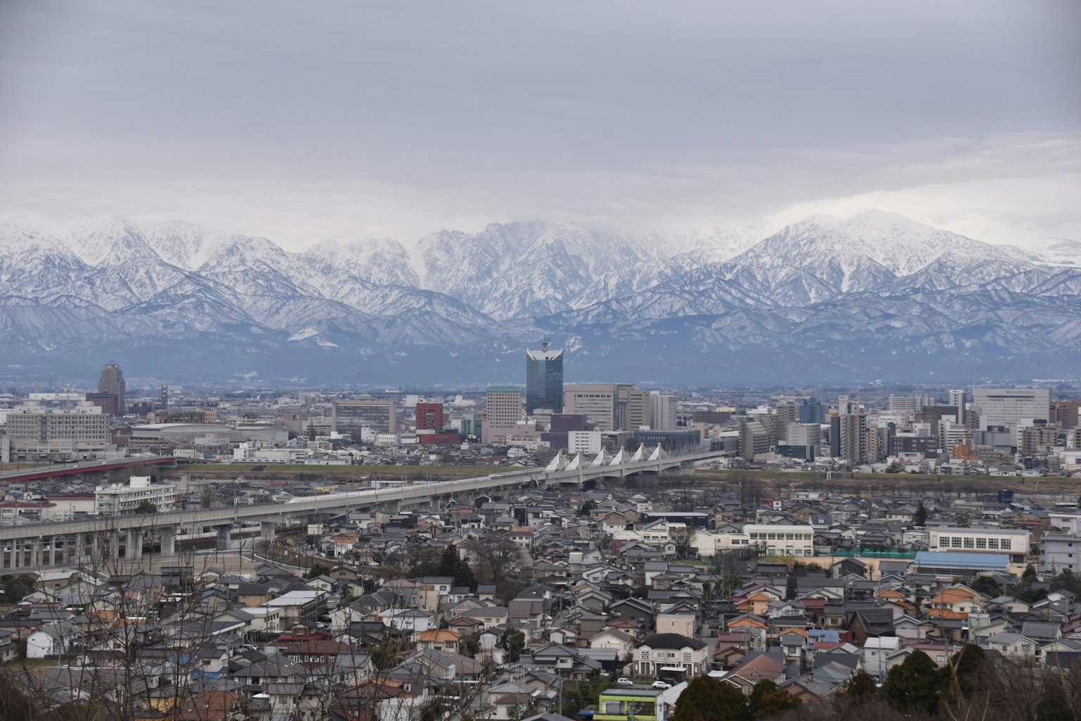 Paesaggio urbano con montagne innevate sullo sfondo