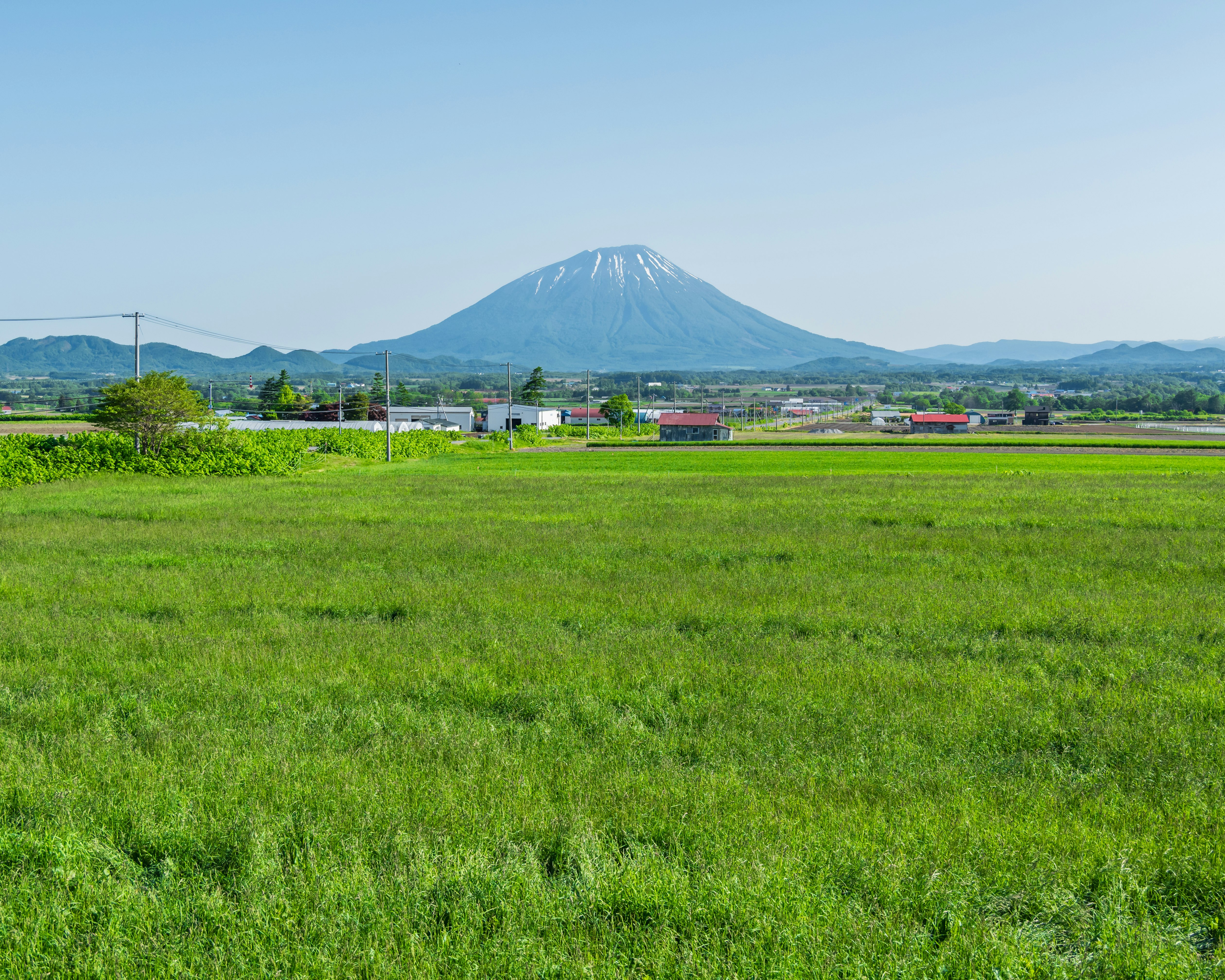 緑の牧草地と羊蹄山を望む北海道の風景