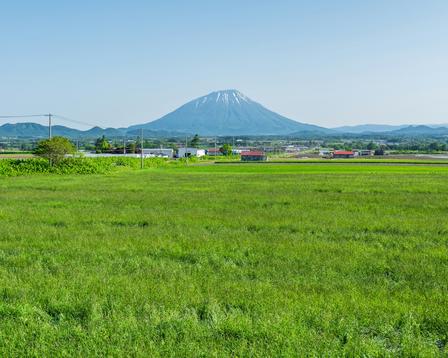 Malersicher Blick auf üppige grüne Felder mit einem schneebedeckten Berg im Hintergrund