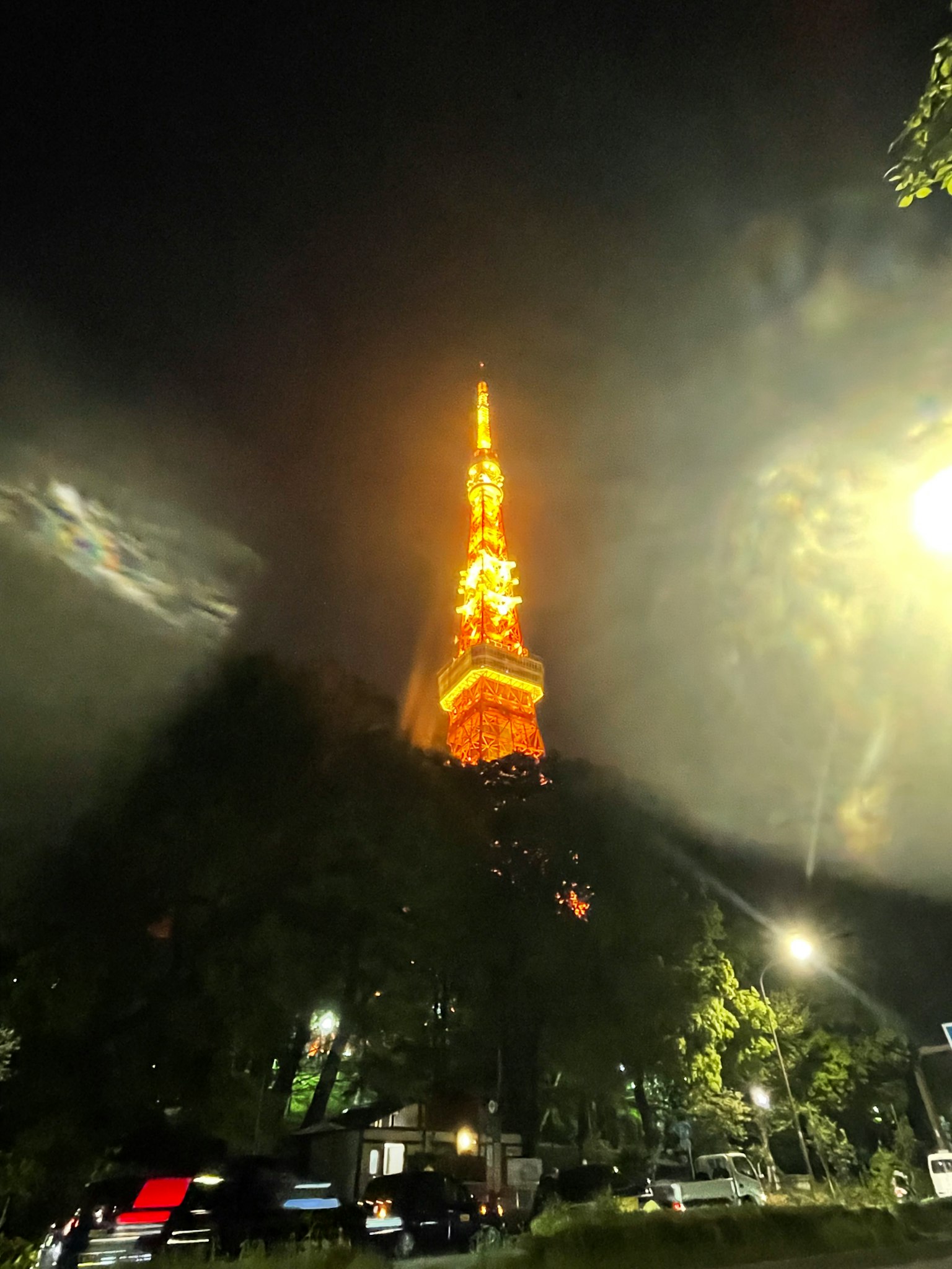 Torre di Tokyo illuminata di notte con alberi circostanti