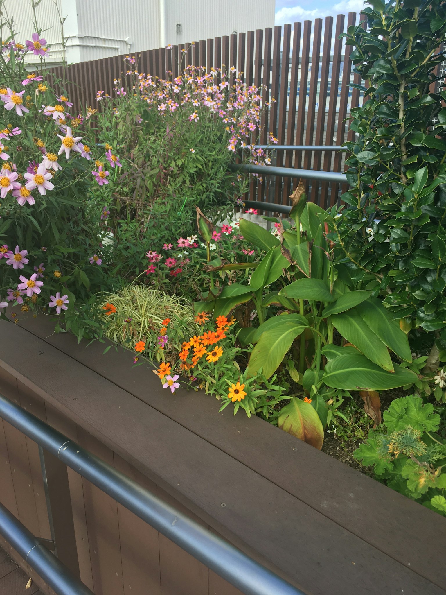 Bunte Blumen in einer Gartenecke mit üppigen Pflanzen und einem Holzzaun