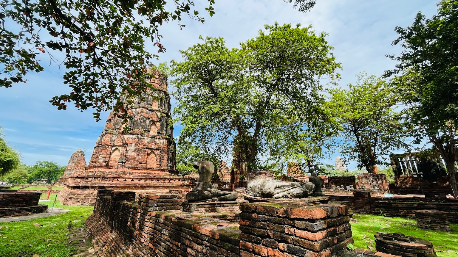 Ruinas antiguas rodeadas de vegetación exuberante y árboles