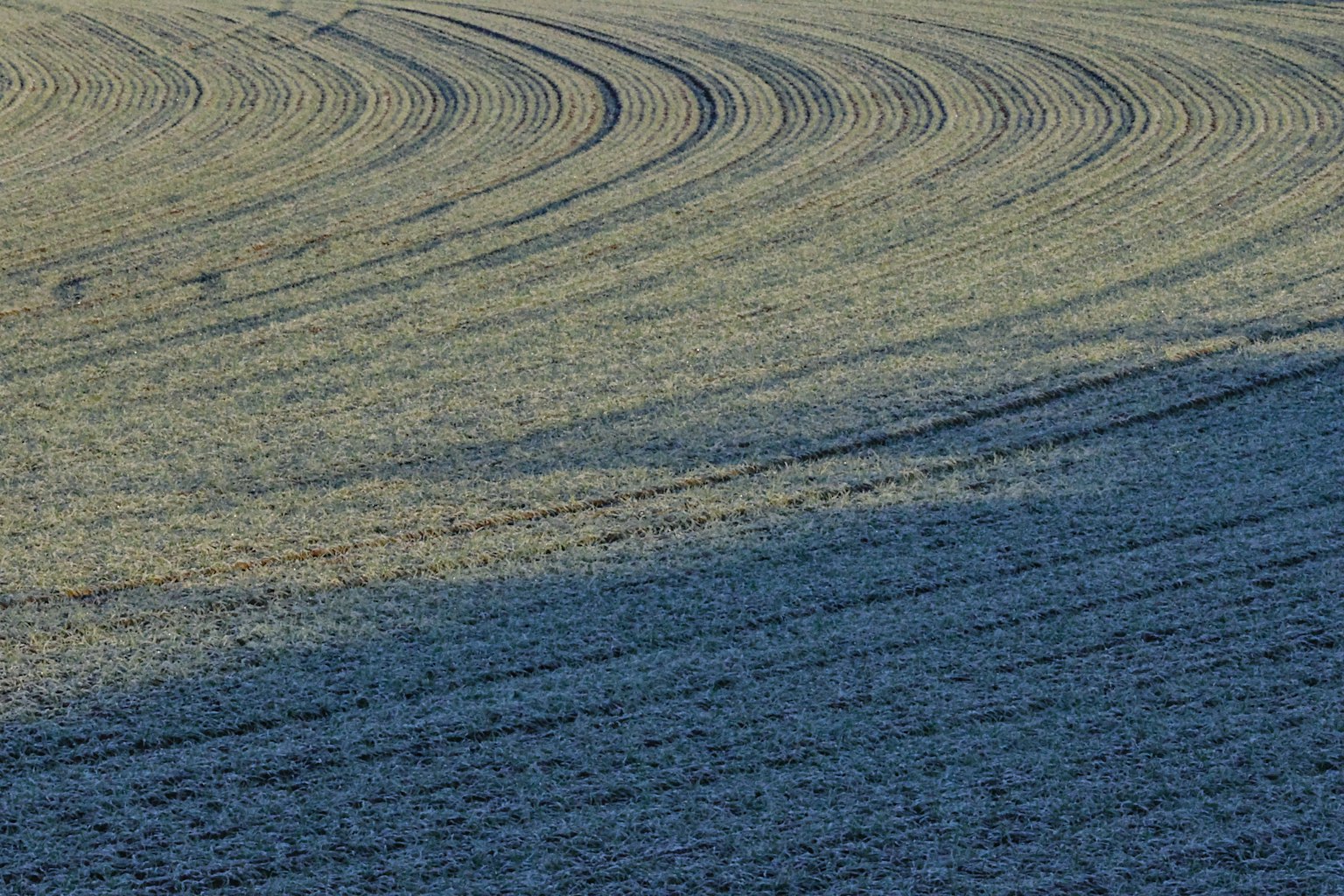 Motifs courbés d'un champ bleu avec des ombres