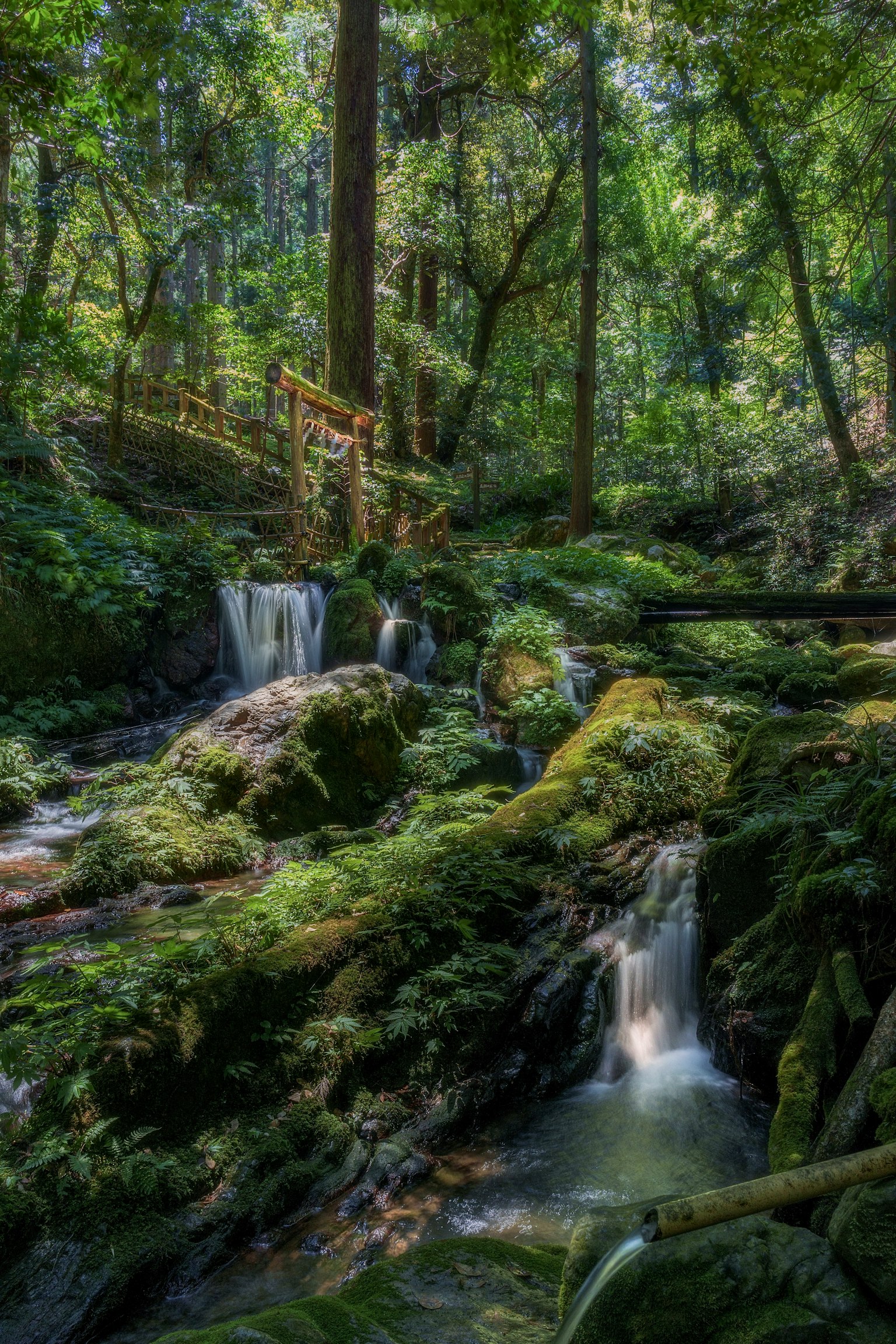 Scenic view of a stream and waterfall in a lush forest with a wooden bridge
