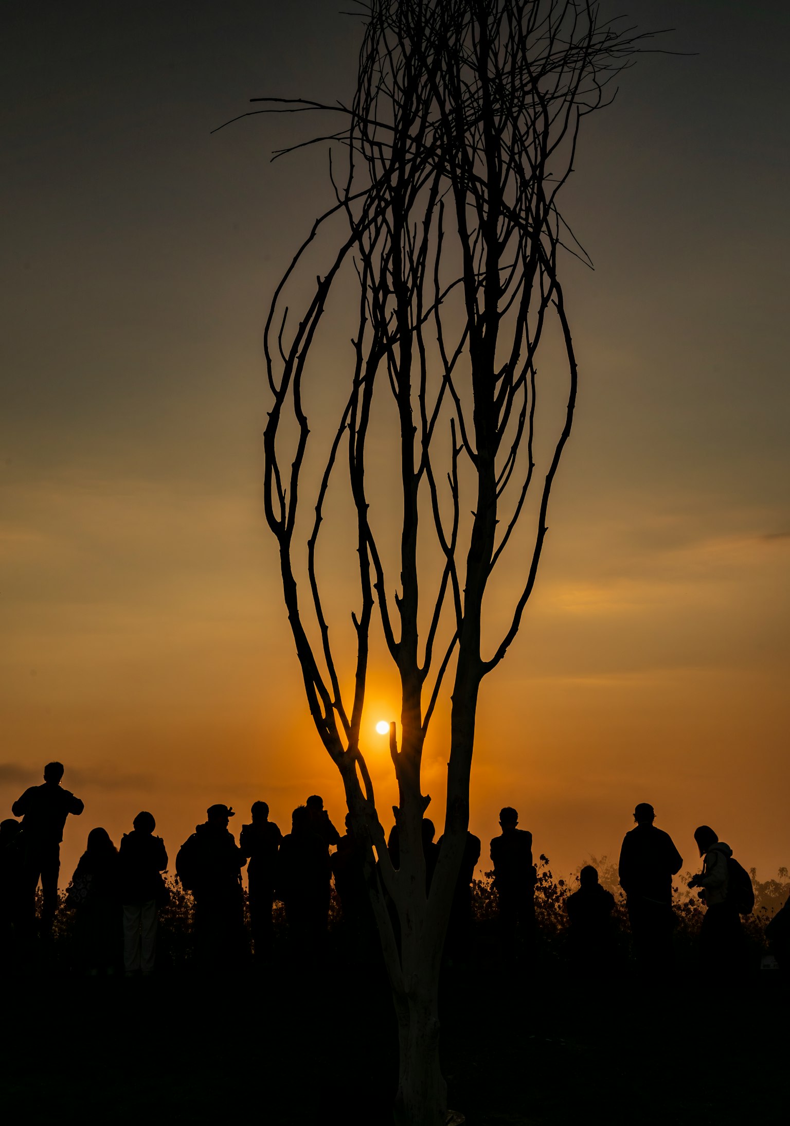 Silhouette de personnes contre un coucher de soleil avec un arbre