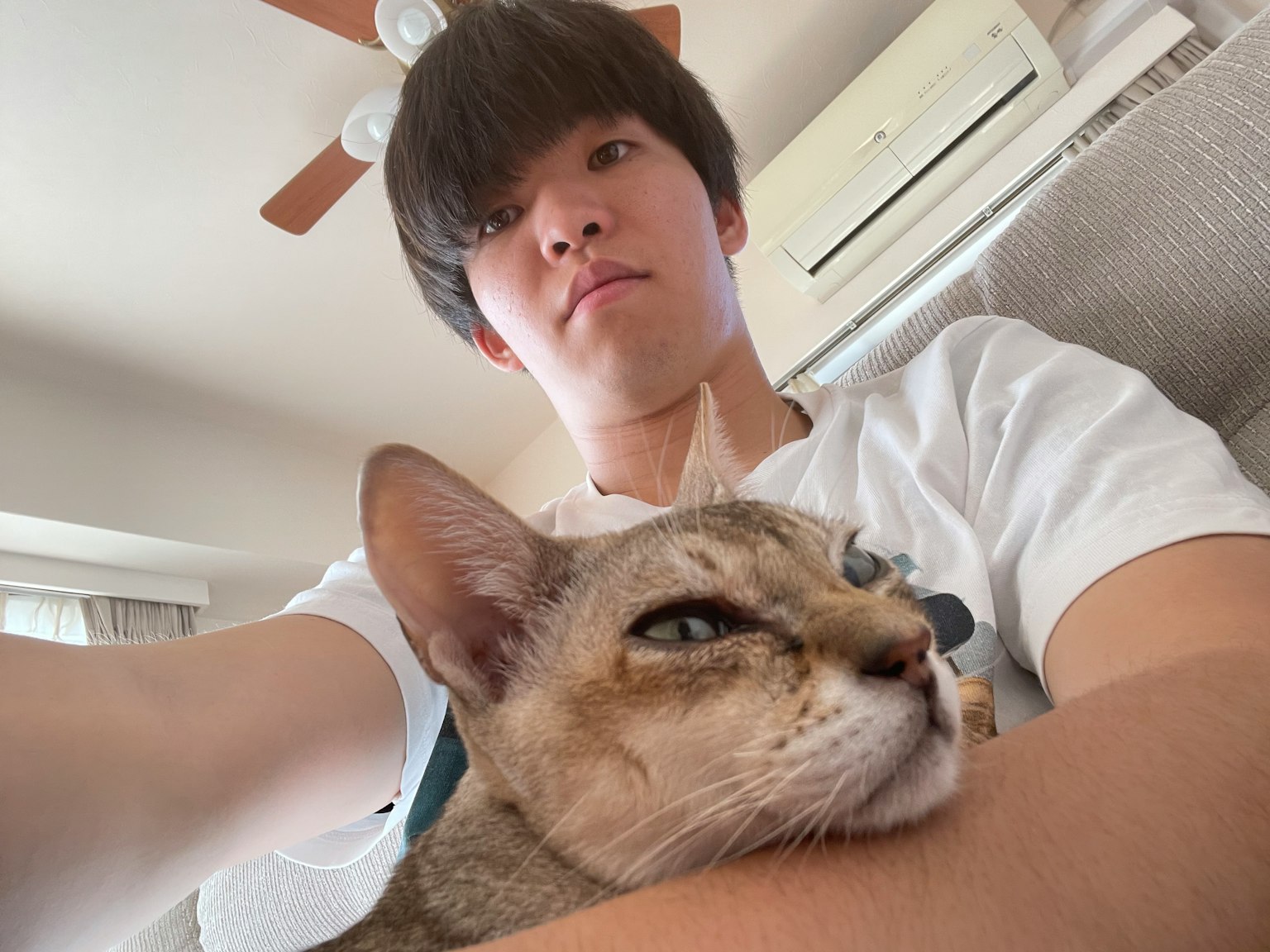 年輕男性抱著一隻貓的自拍照
