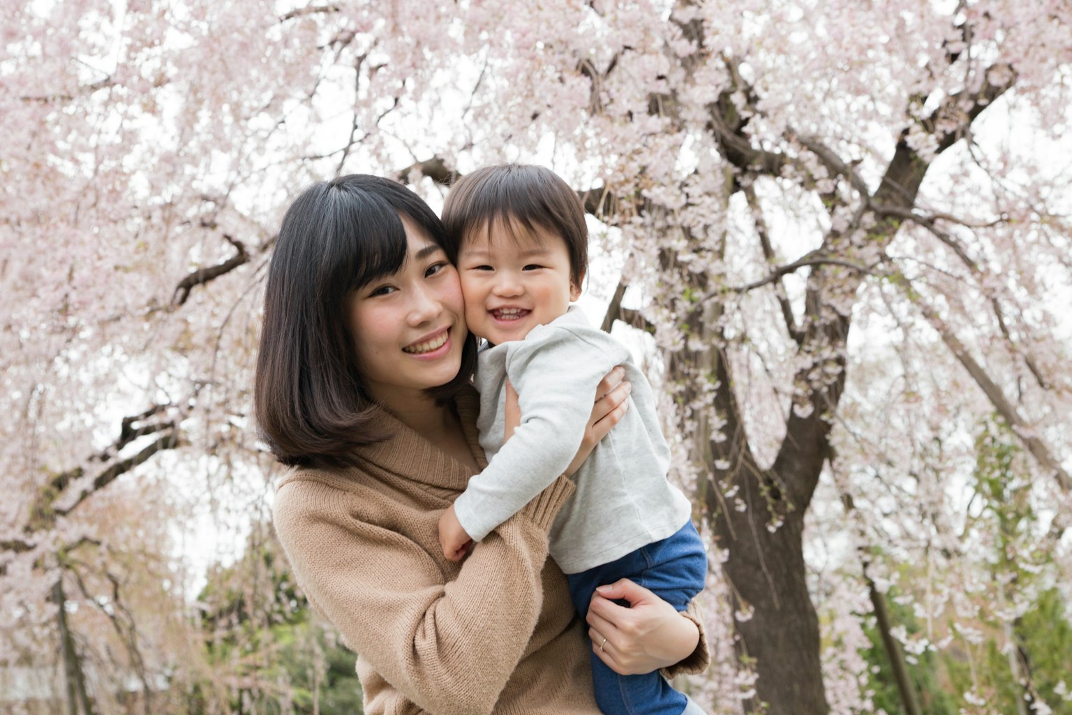Người mẹ mỉm cười bế con dưới cây hoa anh đào