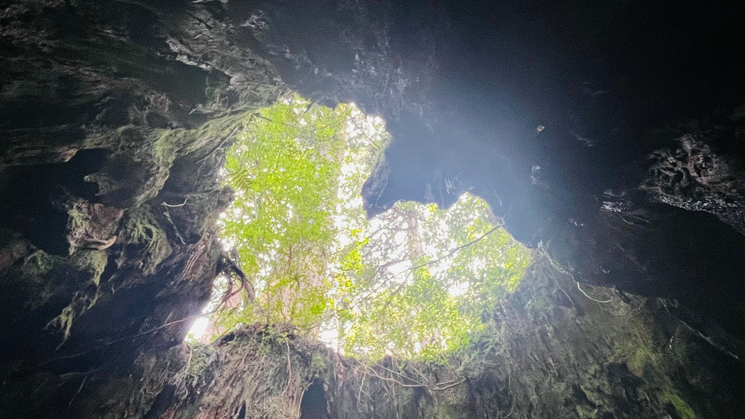 Grüne Insel, die von natürlichem Licht aus einer Höhlenöffnung beleuchtet wird