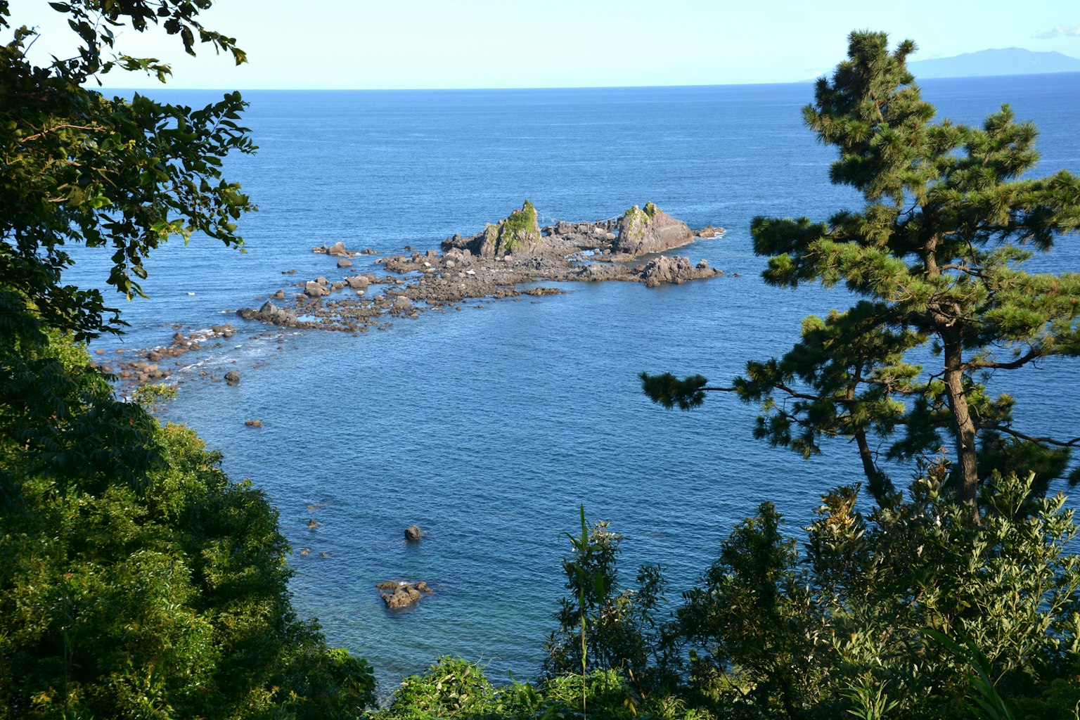 蓝色海洋和岩石突出的风景，周围环绕着郁郁葱葱的绿树