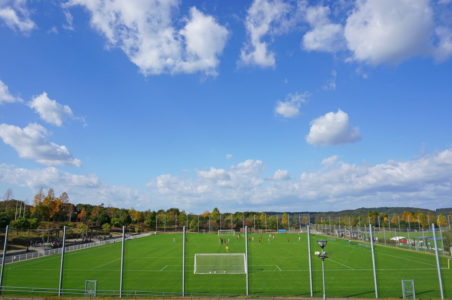 Lapangan sepak bola dengan rumput hijau di bawah langit biru