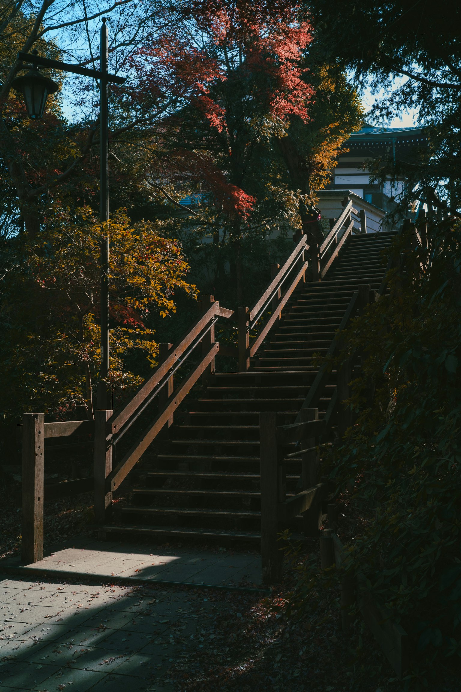 Escalier en bois entouré de feuillage d'automne dans un cadre serein