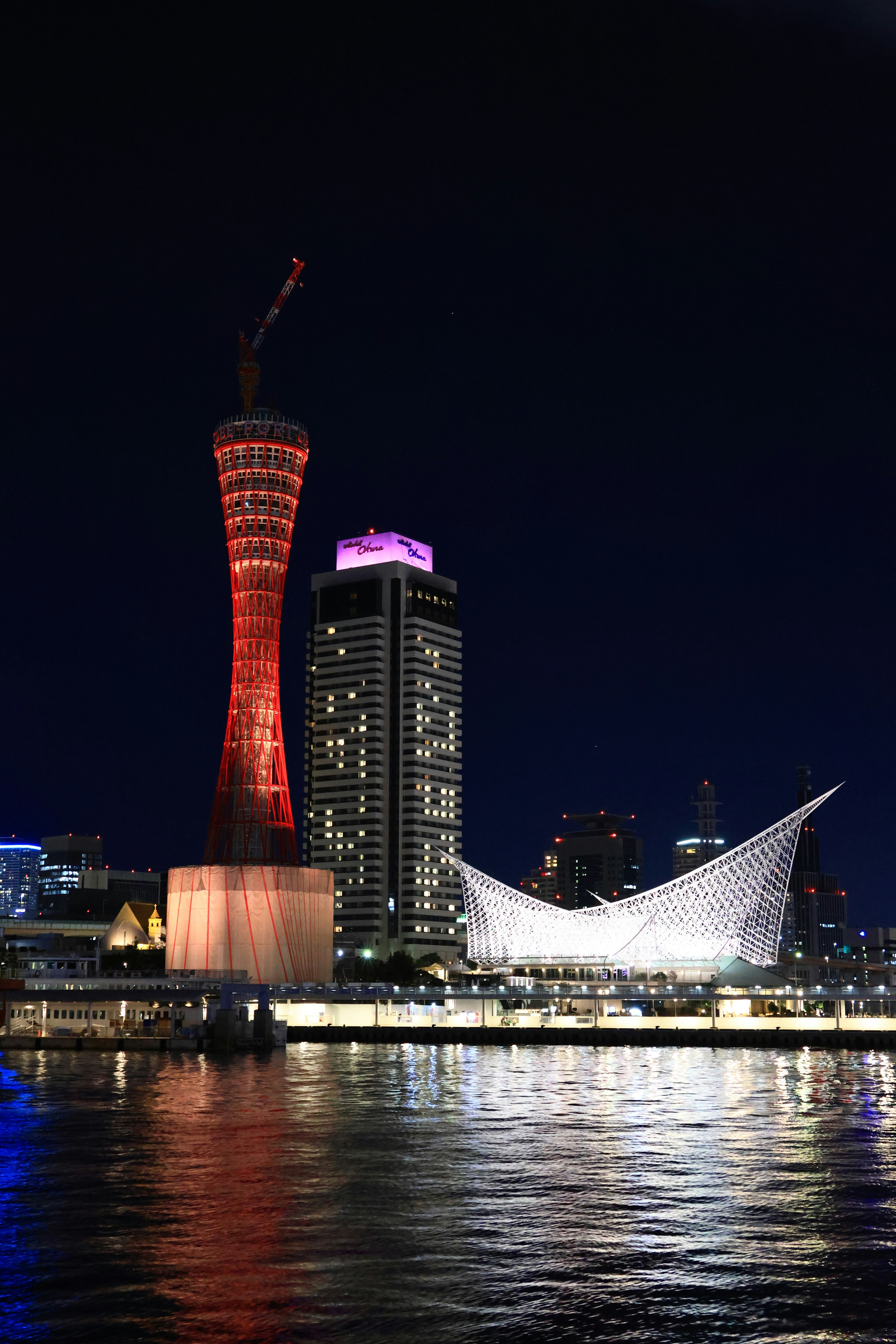 夜の海沿いにそびえる赤い塔と白い建物の夜景