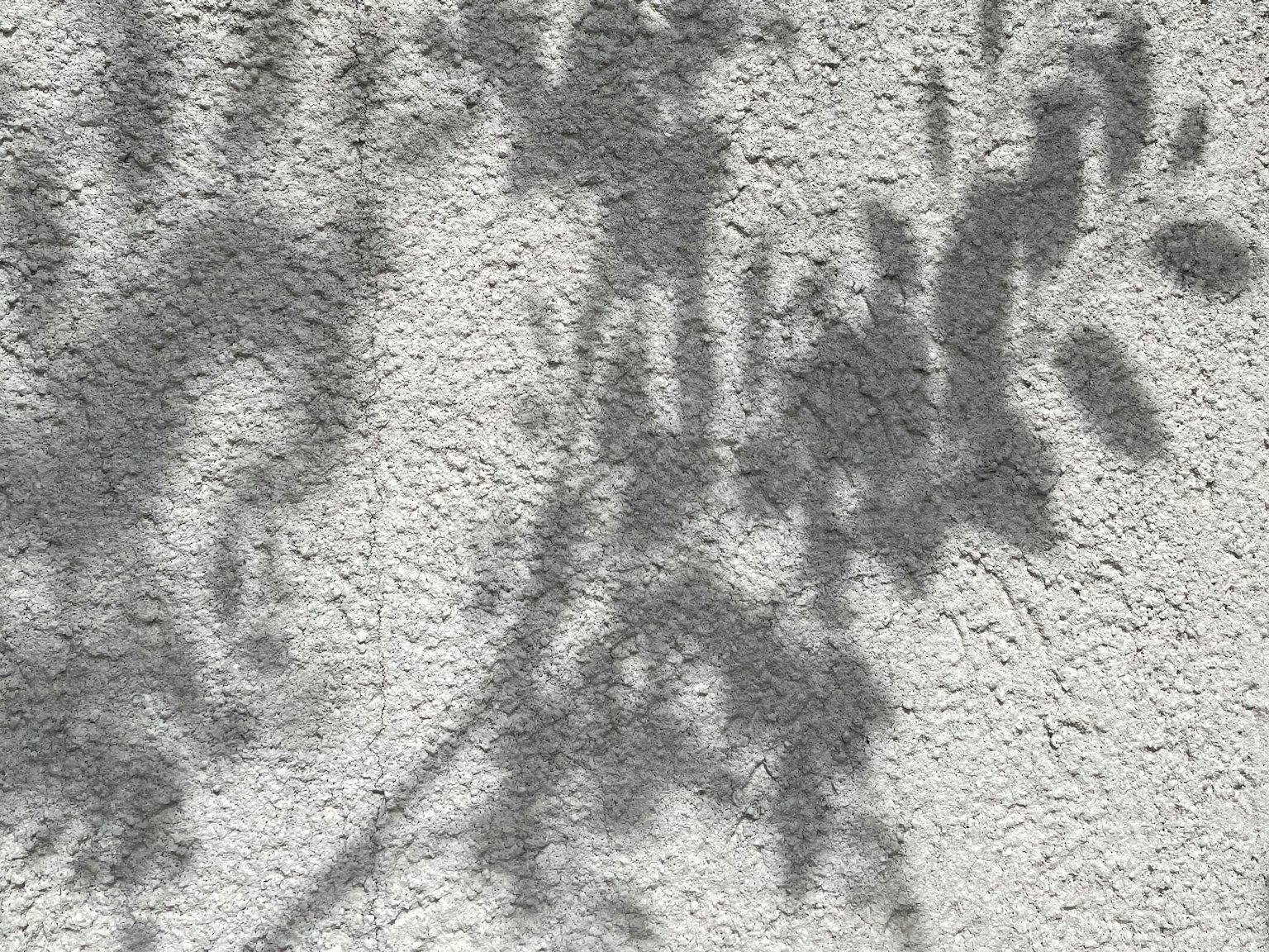 텍스처가 있는 벽에 드리워진 그림자, 잎과 가지의 윤곽이 보임