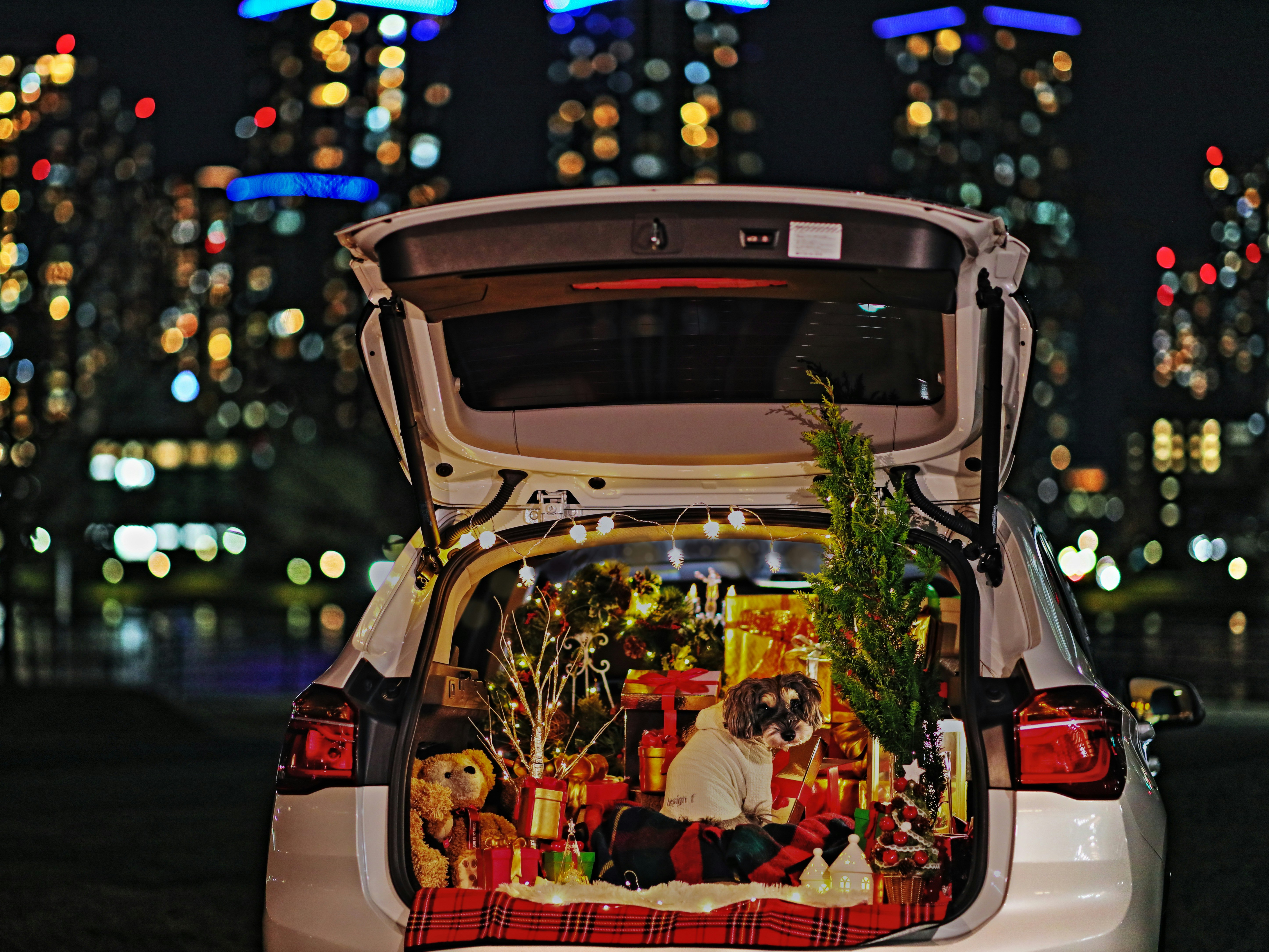 夜景中的汽車後備廂裝滿聖誕禮物和裝飾