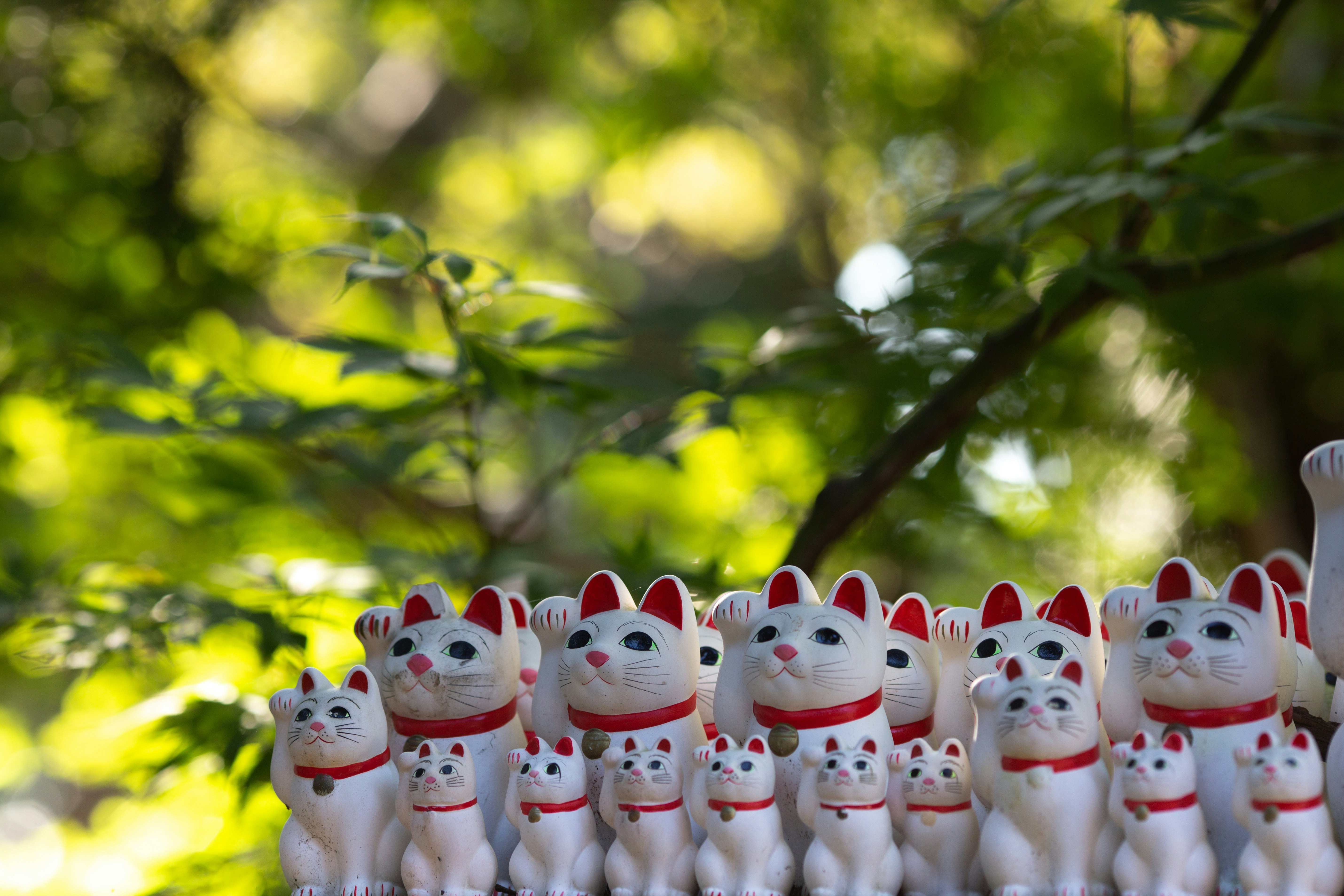 Maneki-neko figurines lined up in front of green trees