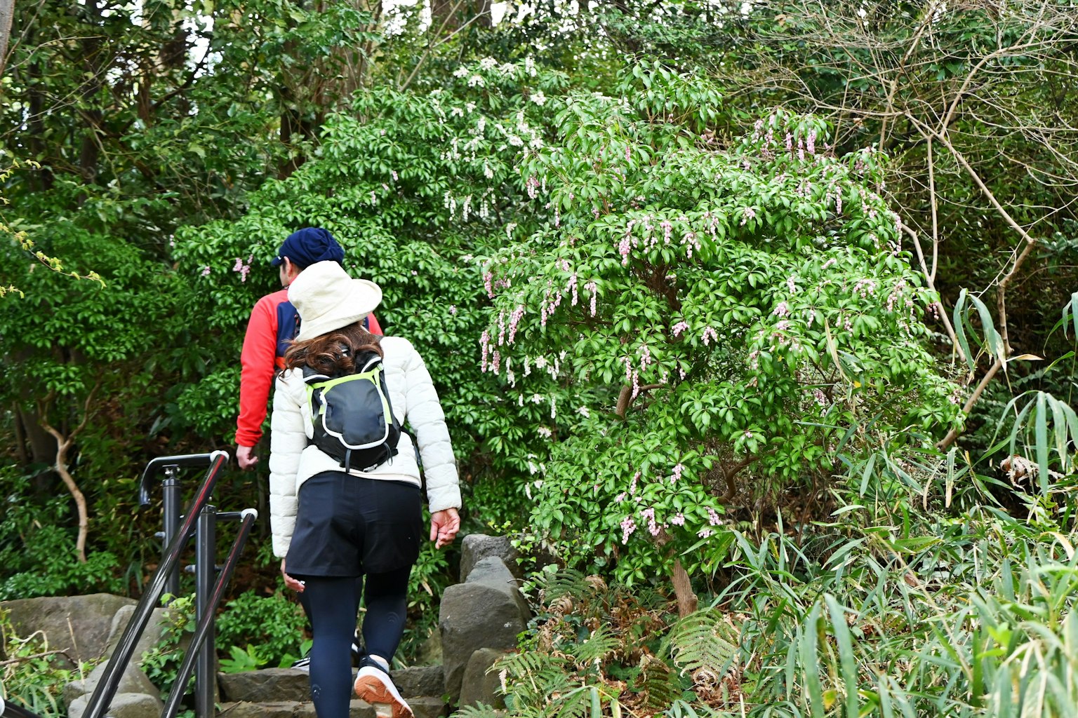 Deux randonneurs montant des escaliers entourés de verdure luxuriante